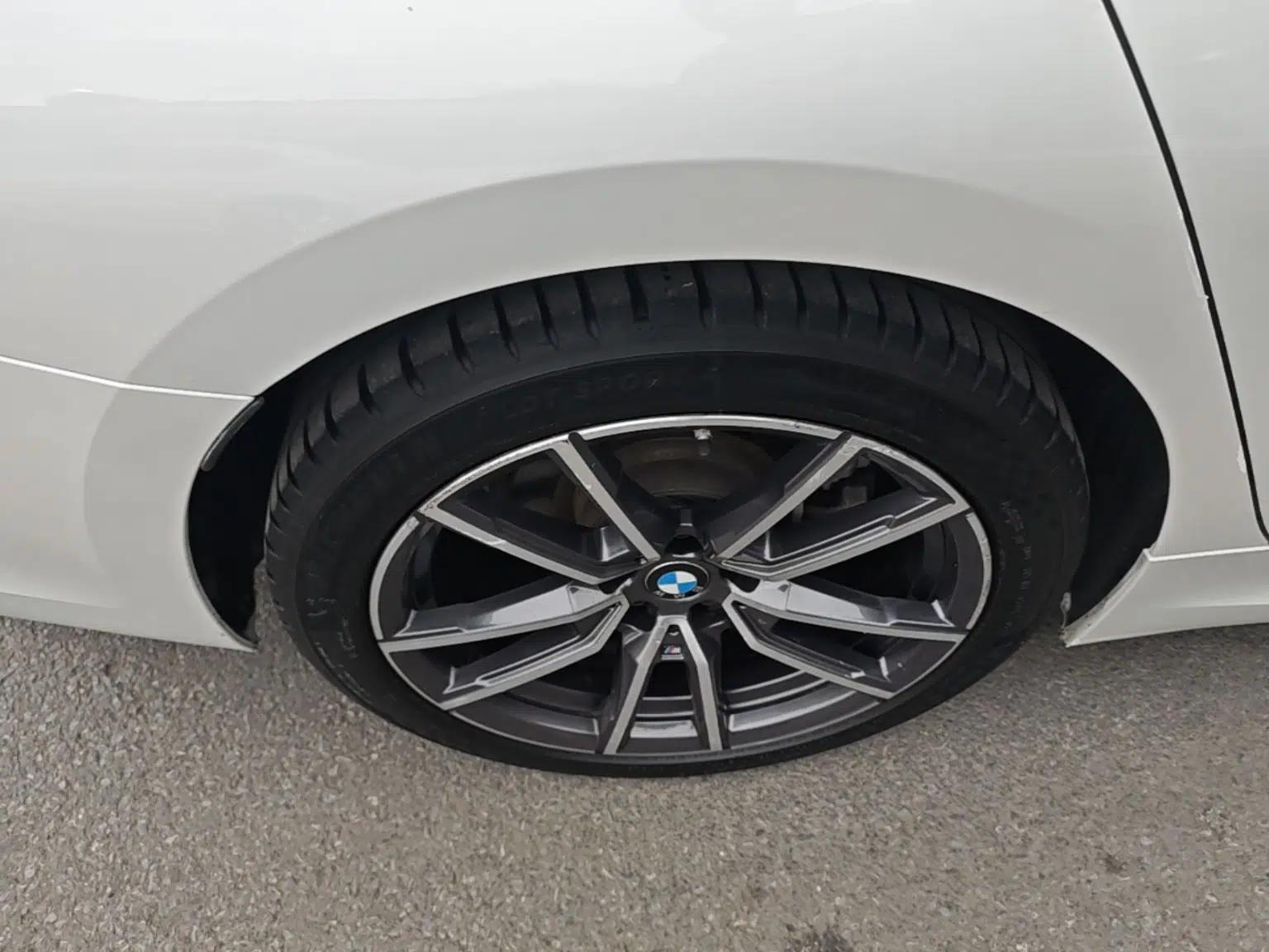 BMW 3 Series 2020 320Li M Sport Package — миниатюра 10
