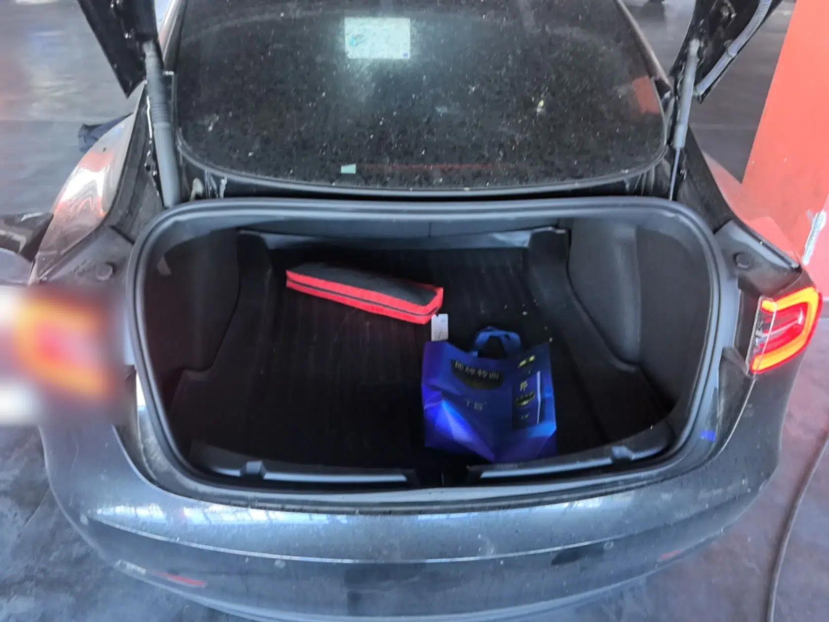 Tesla Model 3 2022 Rear-Wheel-Drive Version — миниатюра 22