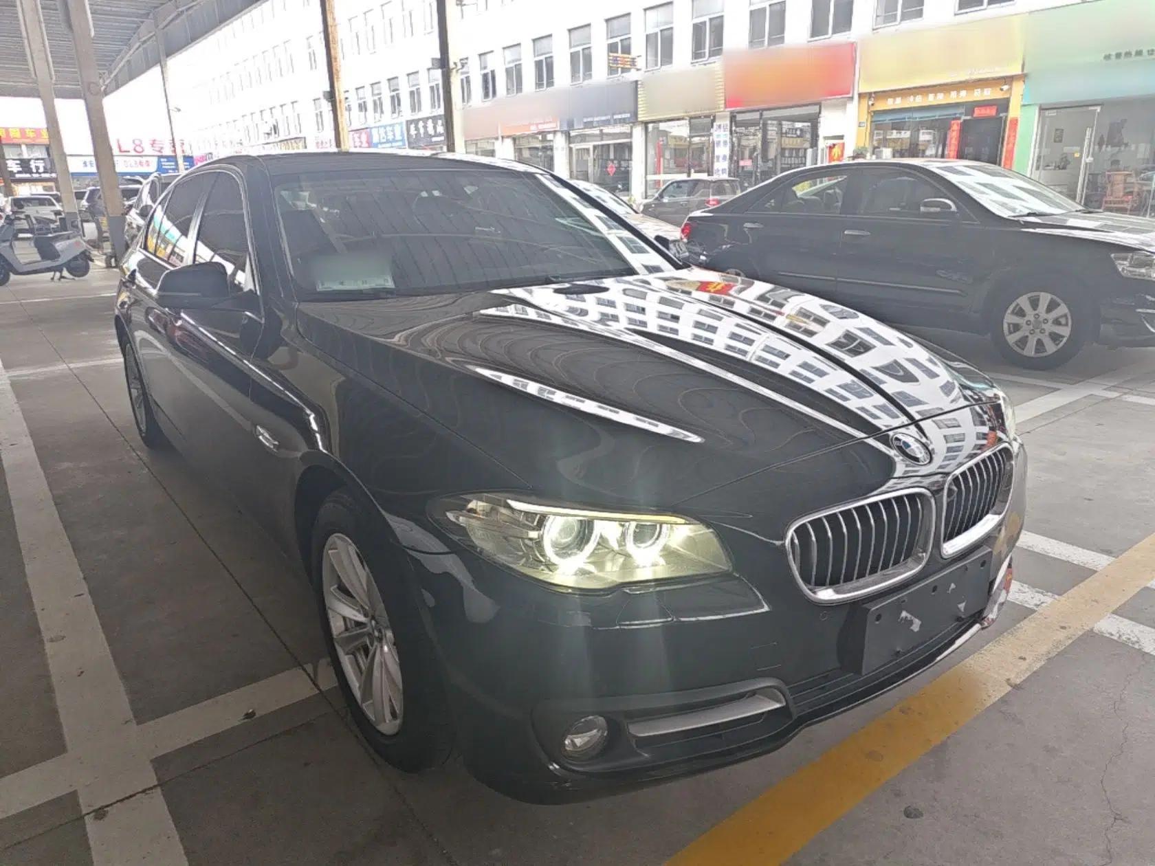 BMW 5 Series 2014 520Li Elegant Model — миниатюра 3