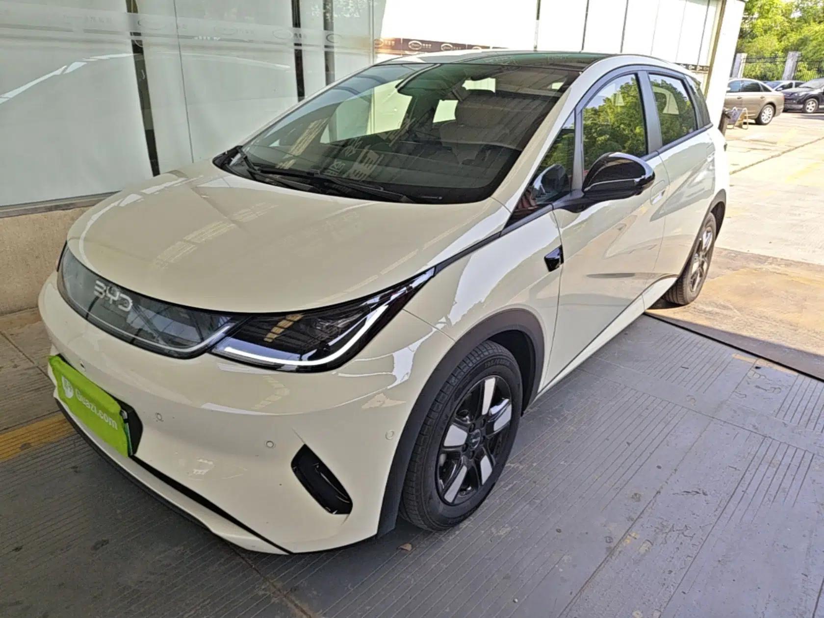 BYD Dolphin 2025 Intelligent Driving Version 410 km Fashion Edition — миниатюра 1