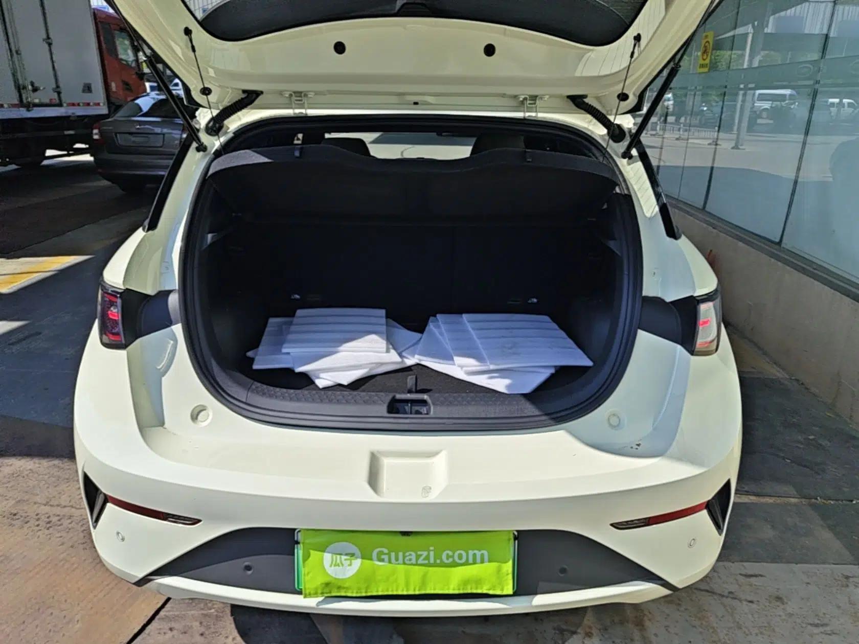 BYD Dolphin 2025 Intelligent Driving Version 410 km Fashion Edition — миниатюра 22