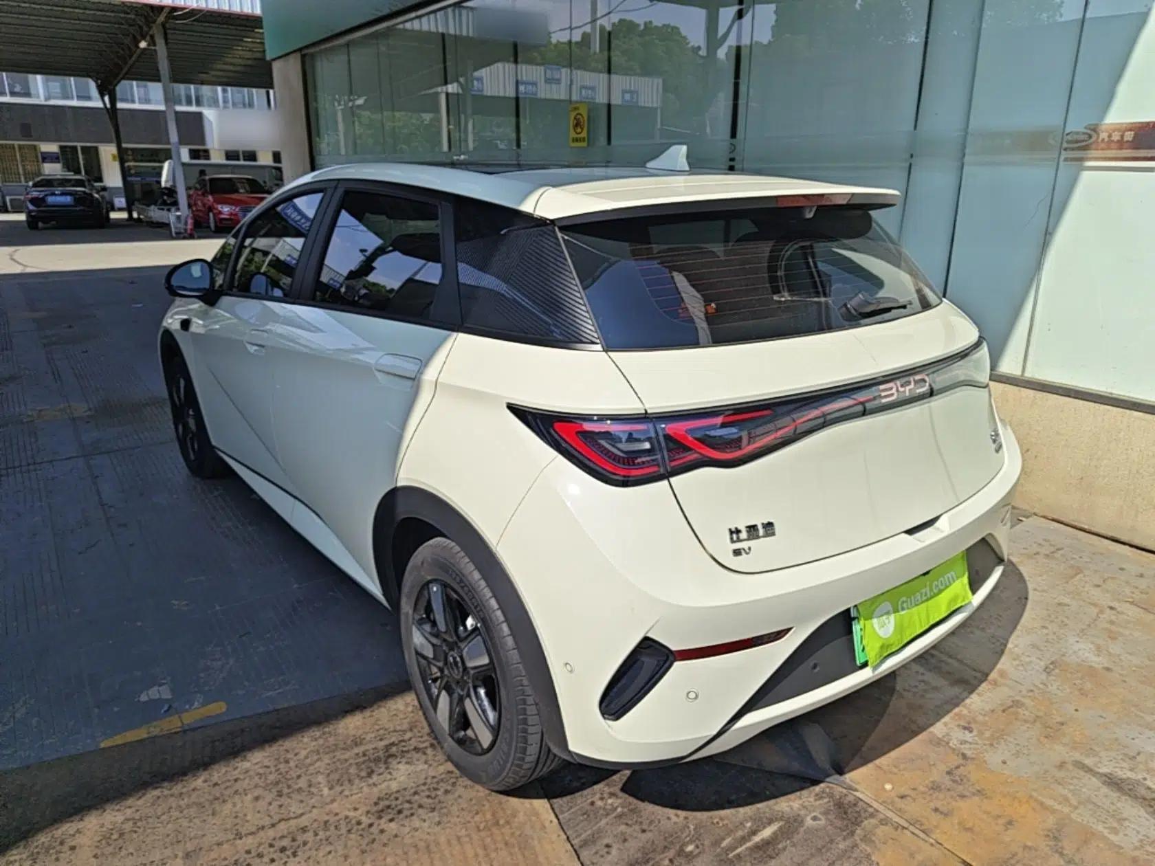 BYD Dolphin 2025 Intelligent Driving Version 410 km Fashion Edition — миниатюра 4