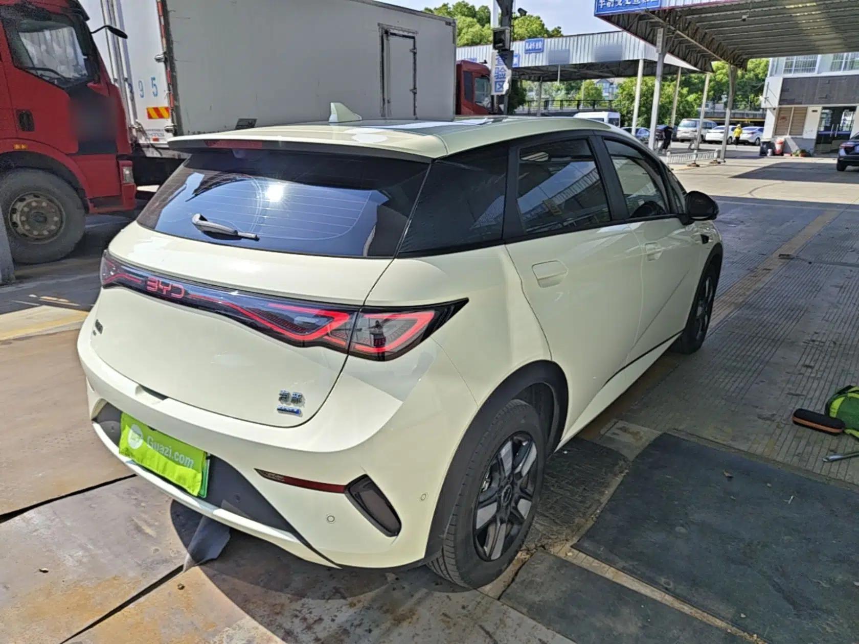 BYD Dolphin 2025 Intelligent Driving Version 410 km Fashion Edition — миниатюра 6