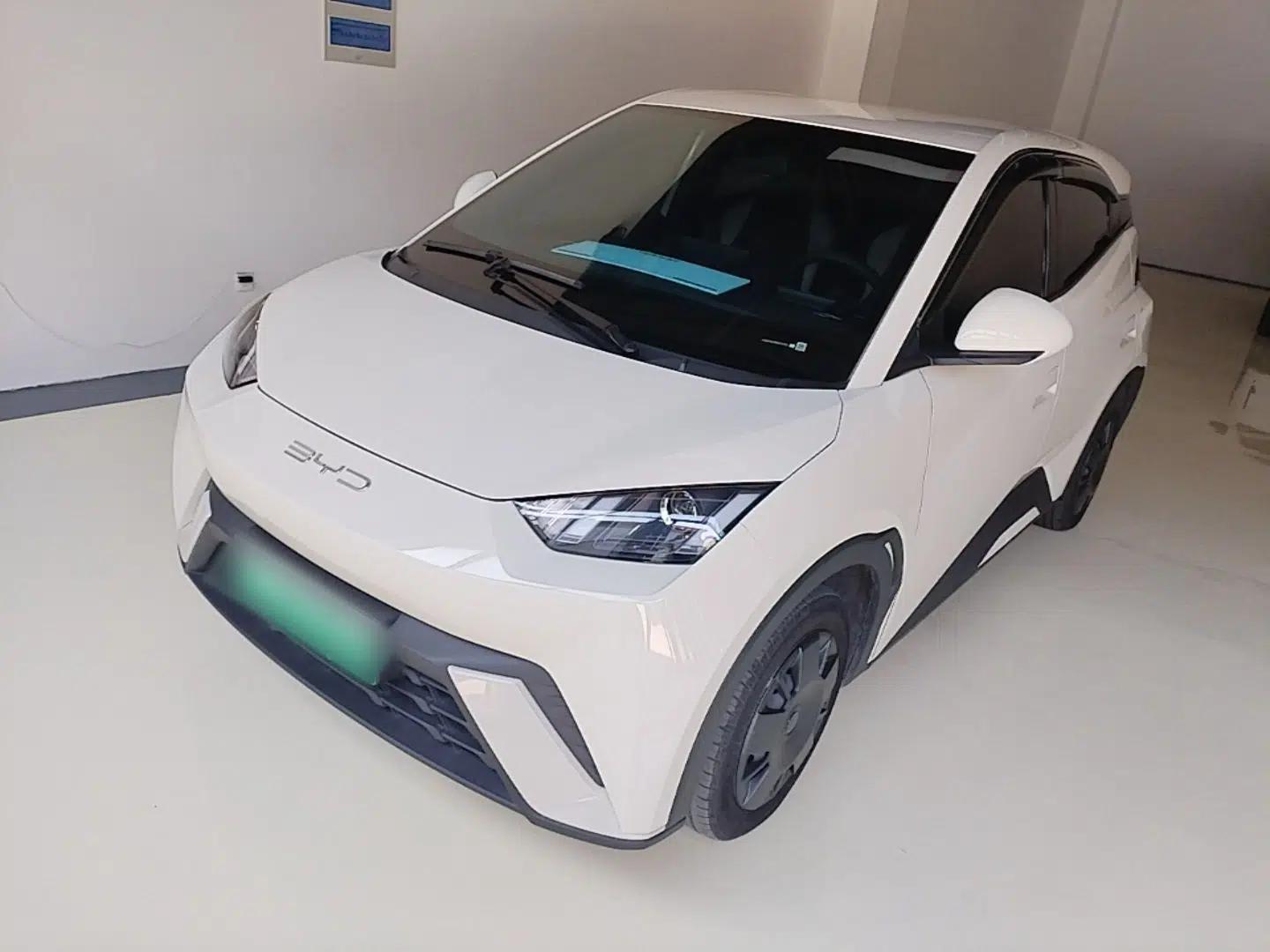 BYD Seagull 2024 Honor Edition 305km Dynamic Version — миниатюра 1