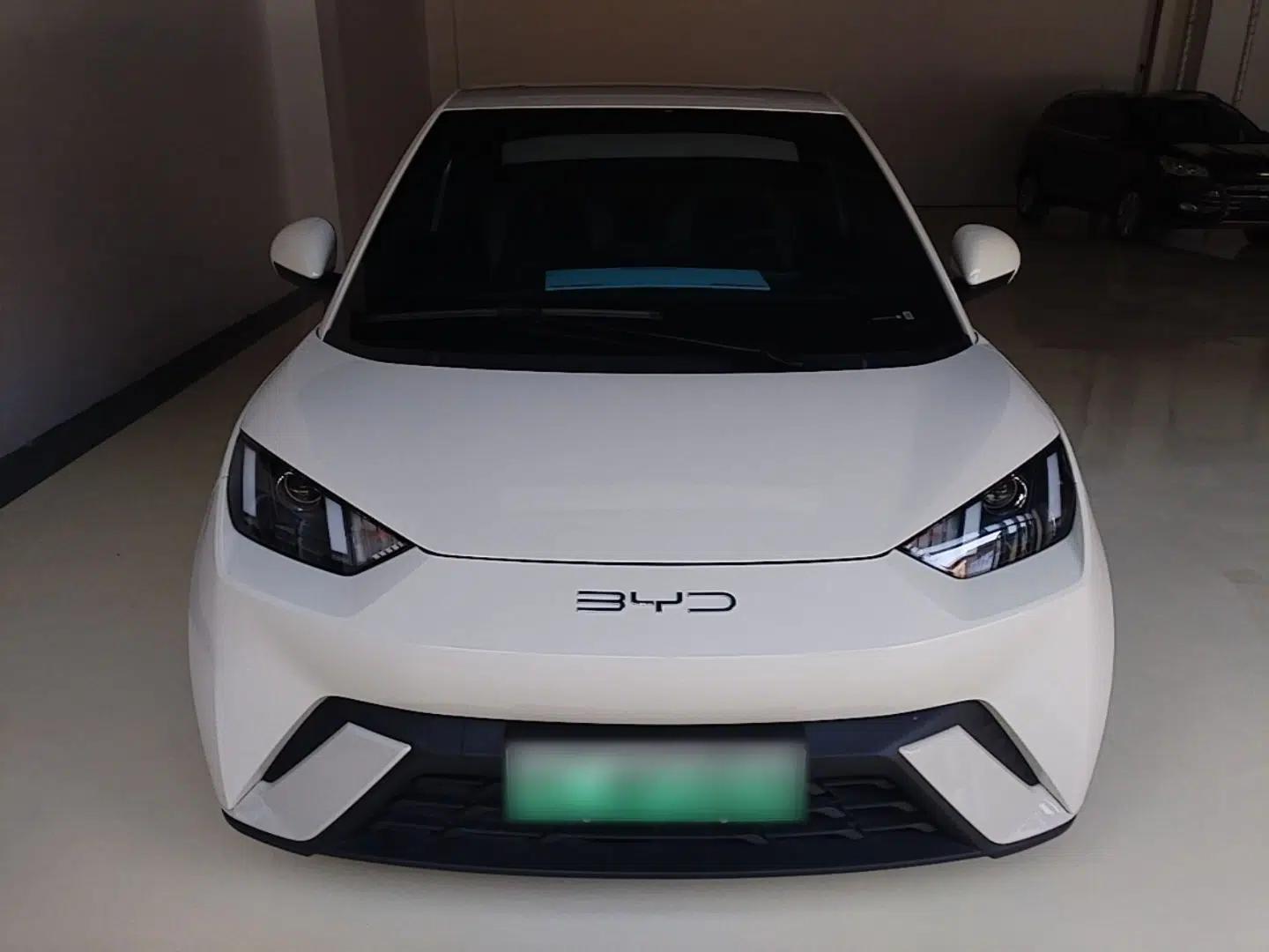 BYD Seagull 2024 Honor Edition 305km Dynamic Version — миниатюра 2