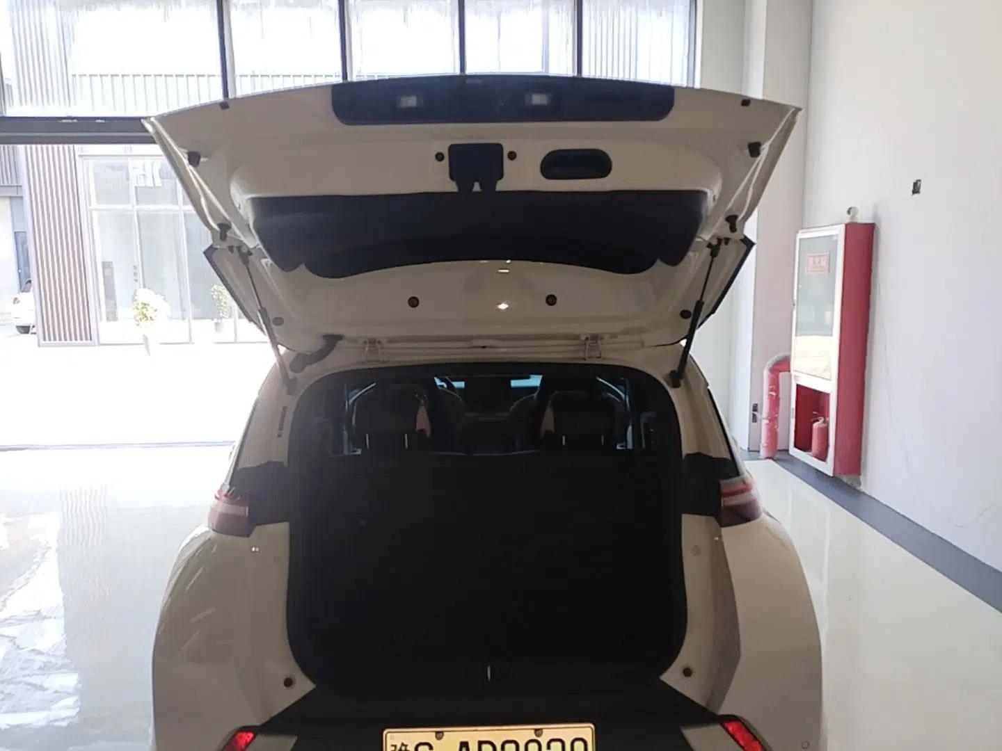 BYD Seagull 2024 Honor Edition 305km Dynamic Version — миниатюра 22