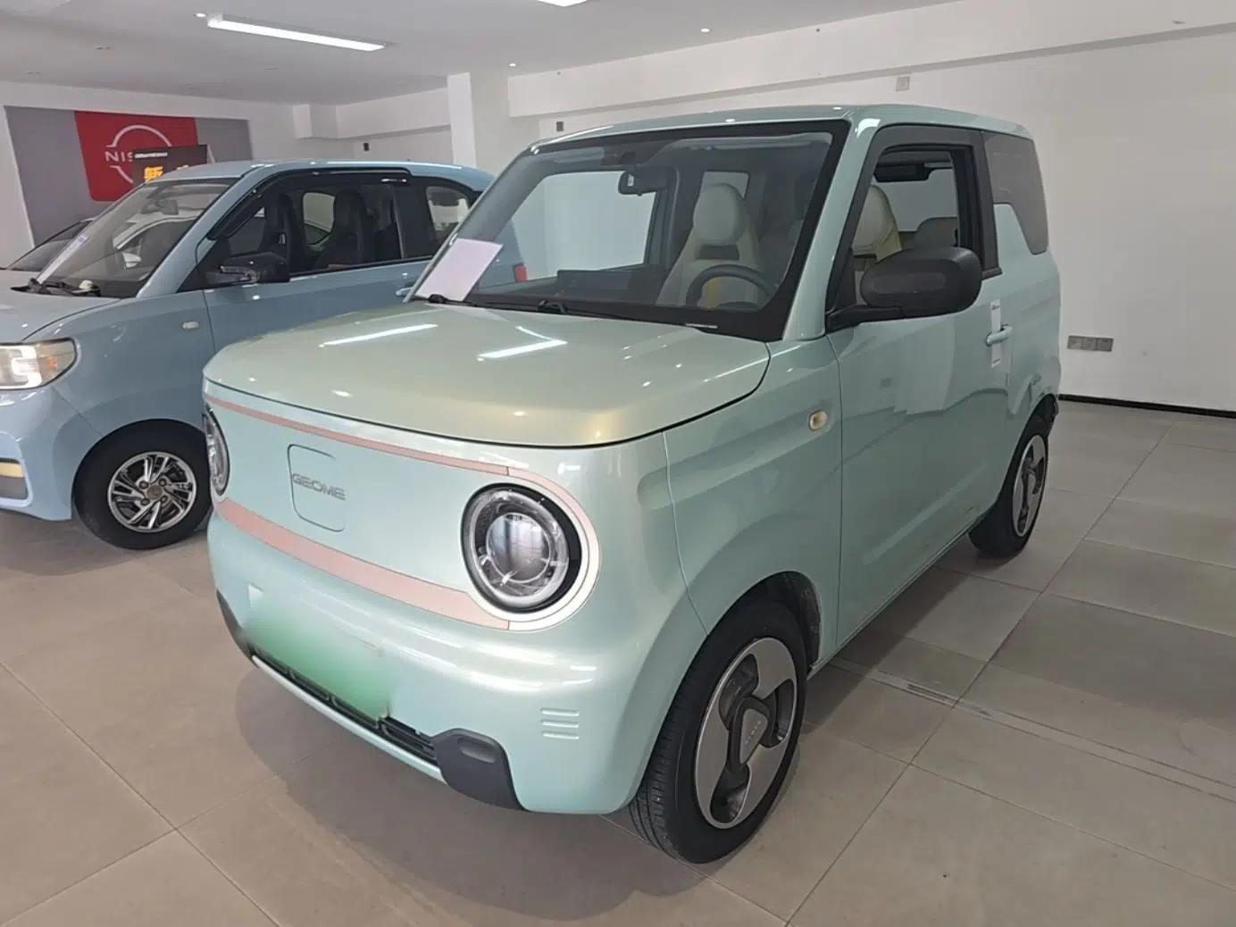 Geely Galaxy Panda 2023 Panda Mini New Year Edition Treasure Bear — миниатюра 1