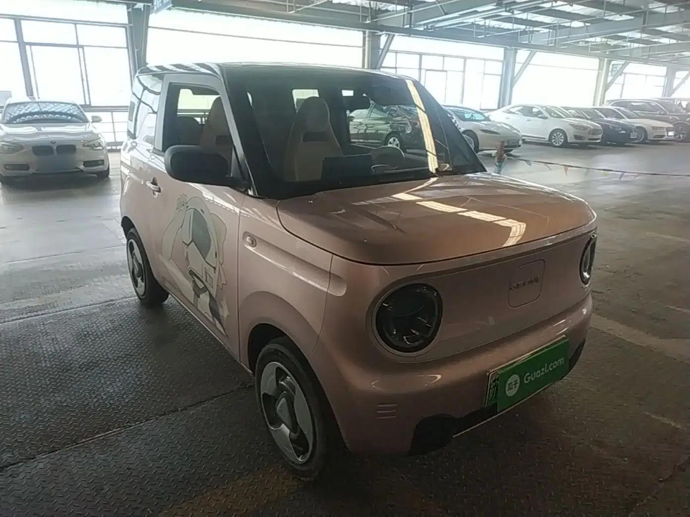 Geely Galaxy Panda 2023 Panda Mini 200km Dynamic Bear — миниатюра 6