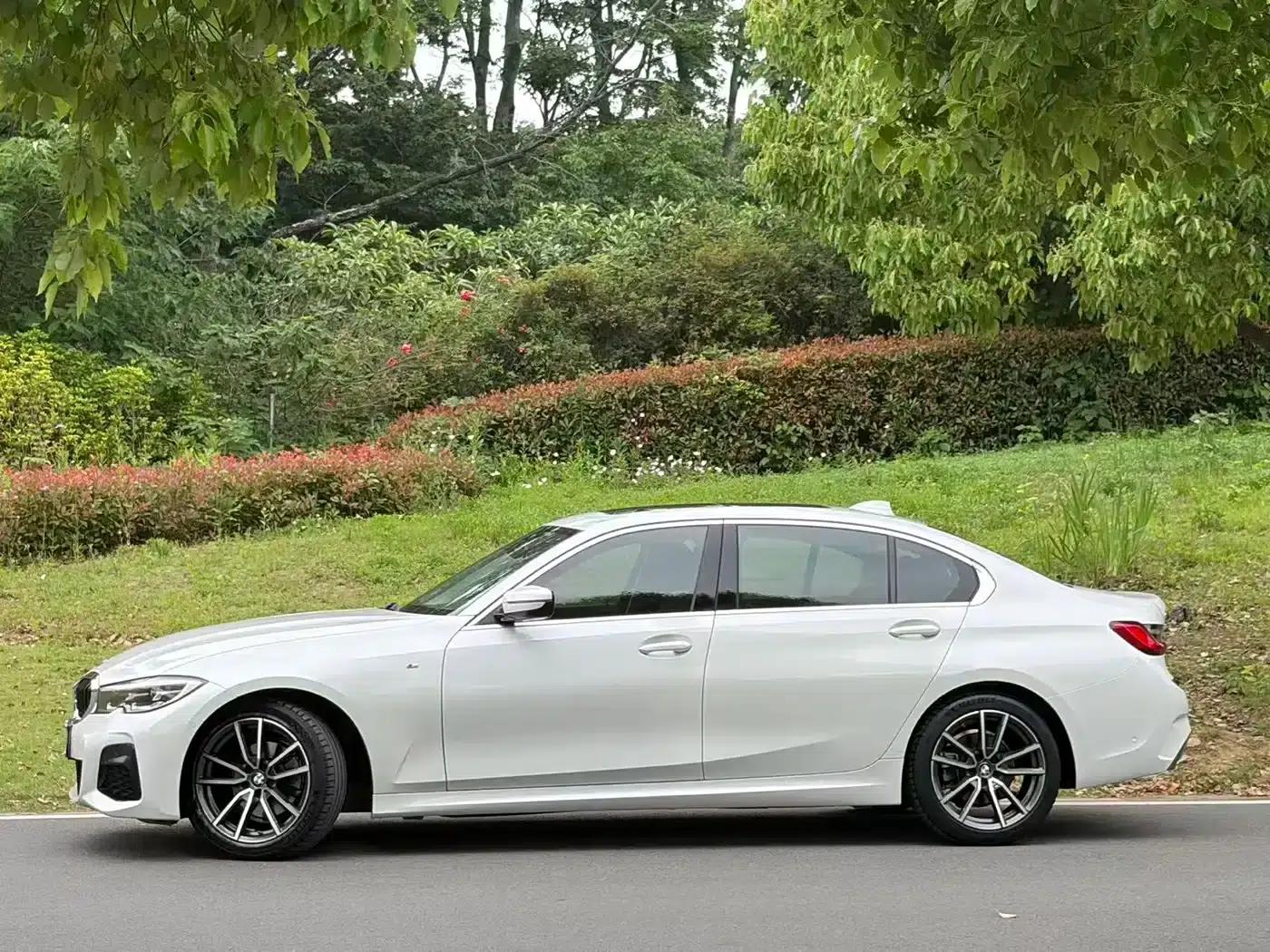2020 BMW 3 Series 320Li M Sport Package — миниатюра 3