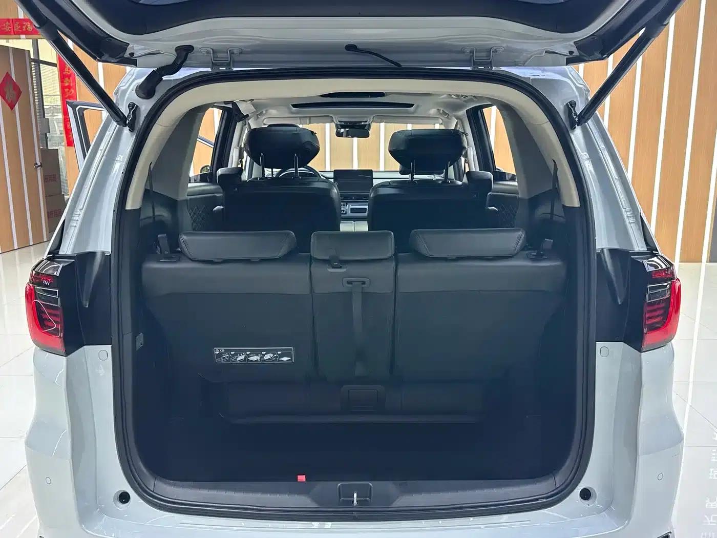 Elysion 2024 2.0L e:HEV Luxury Edition — миниатюра 21