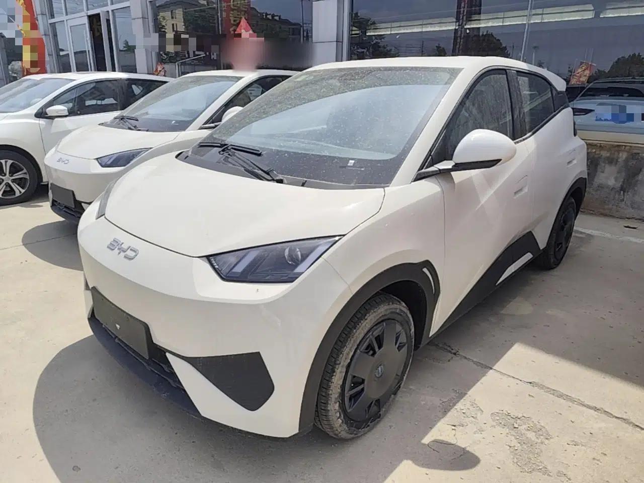 BYD Seagull 2025 Intelligent Driving Version 305 km Dynamic Edition — миниатюра 1
