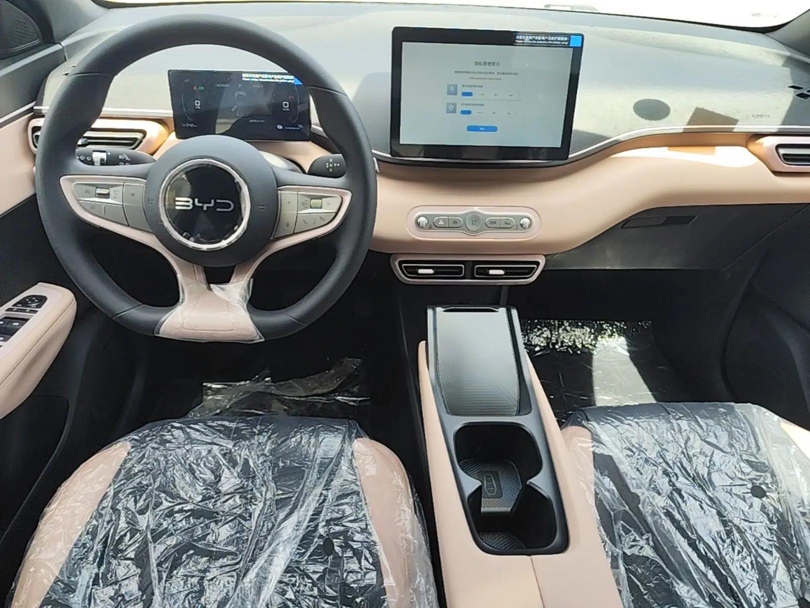 BYD Seagull 2025 Intelligent Driving Version 305 km Dynamic Edition — миниатюра 13