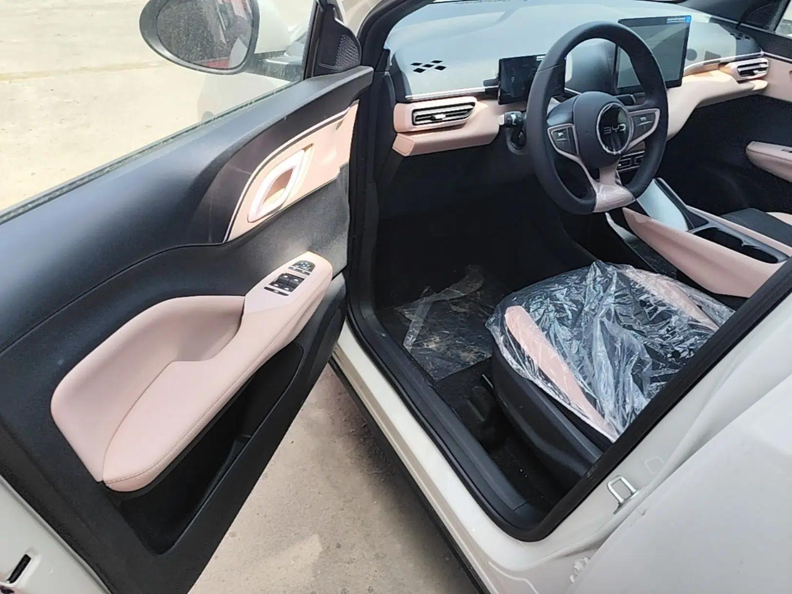 BYD Seagull 2025 Intelligent Driving Version 305 km Dynamic Edition — миниатюра 19