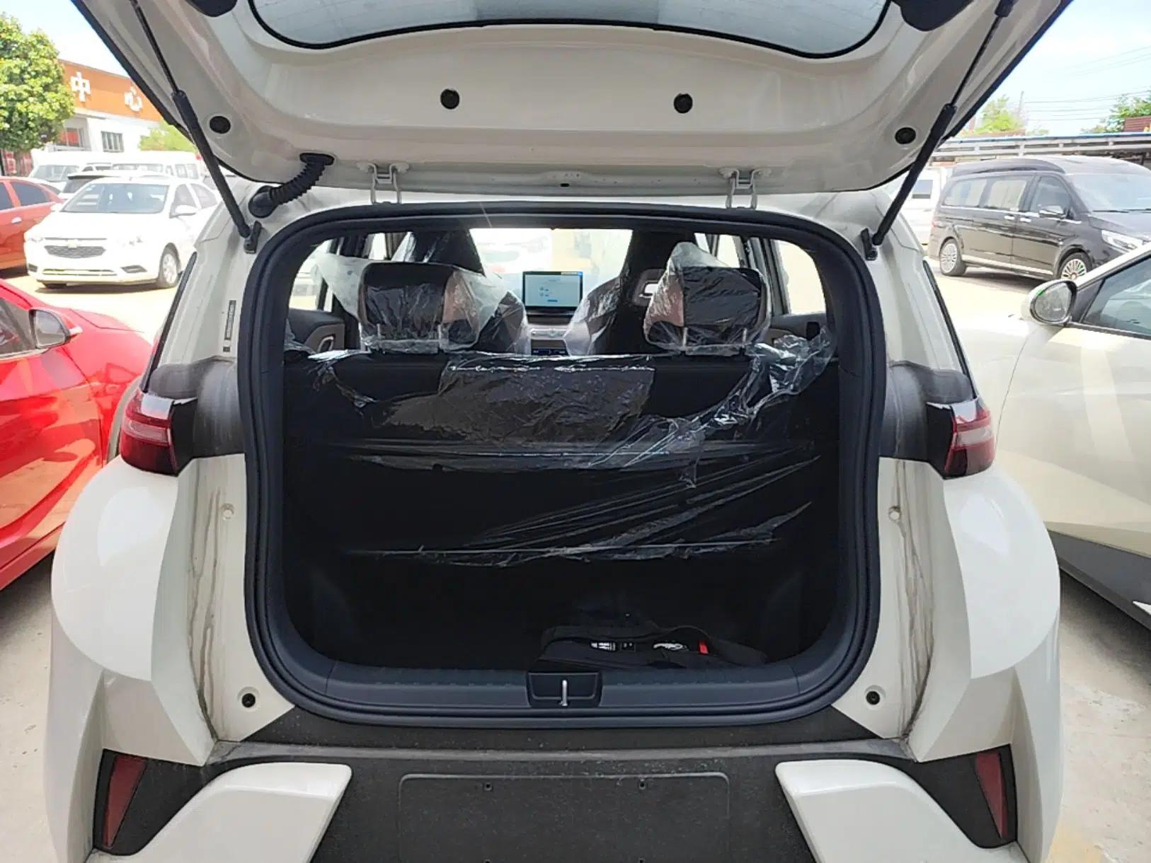 BYD Seagull 2025 Intelligent Driving Version 305 km Dynamic Edition — миниатюра 22