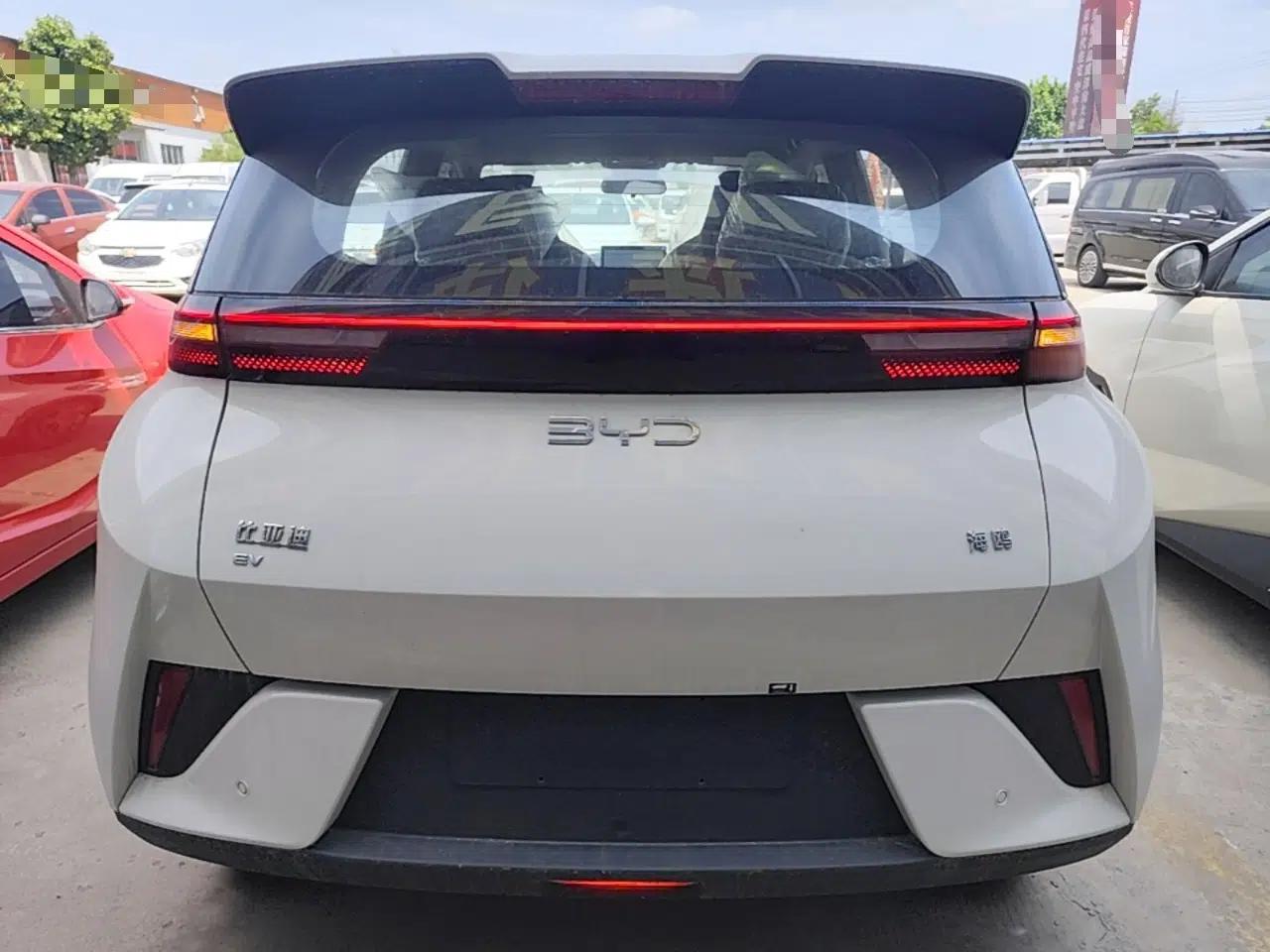 BYD Seagull 2025 Intelligent Driving Version 305 km Dynamic Edition — миниатюра 5