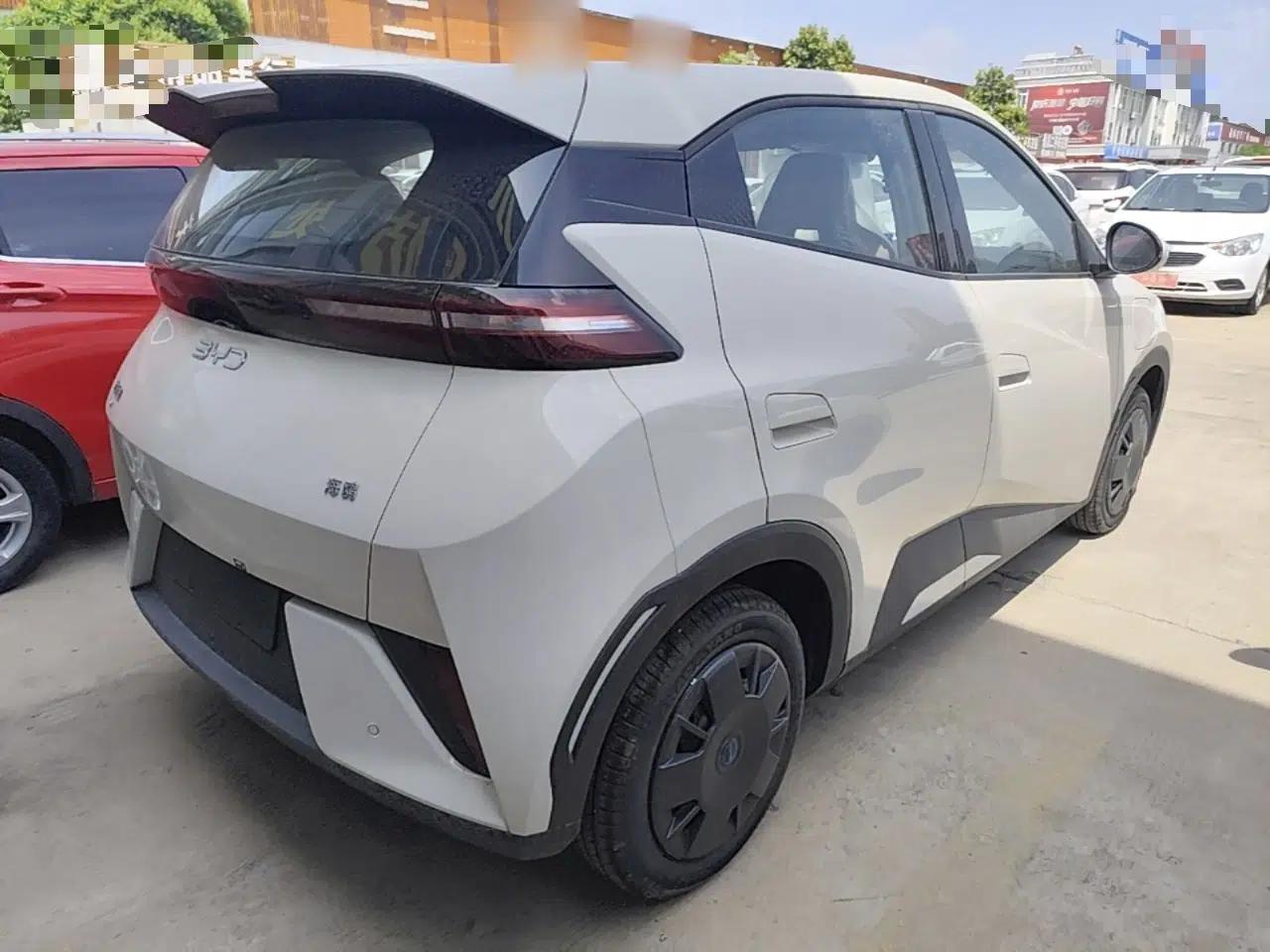 BYD Seagull 2025 Intelligent Driving Version 305 km Dynamic Edition — миниатюра 6