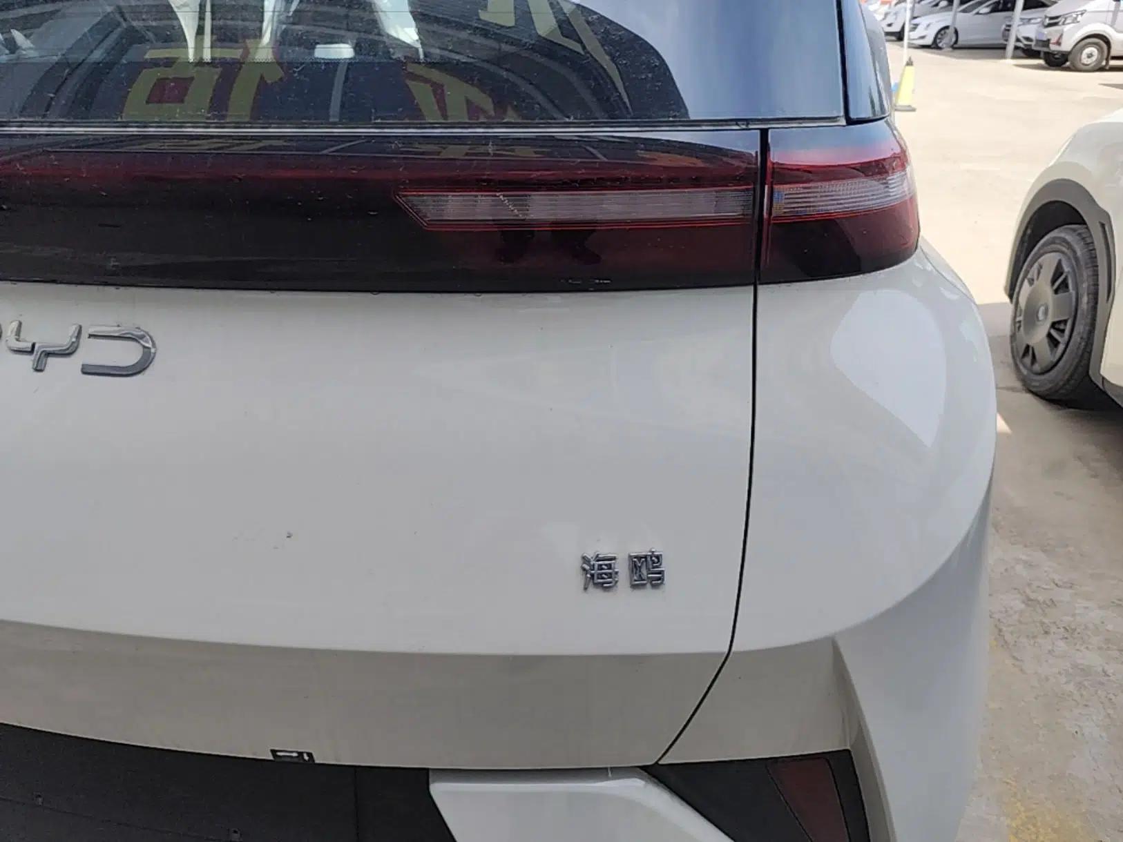 BYD Seagull 2025 Intelligent Driving Version 305 km Dynamic Edition — миниатюра 7