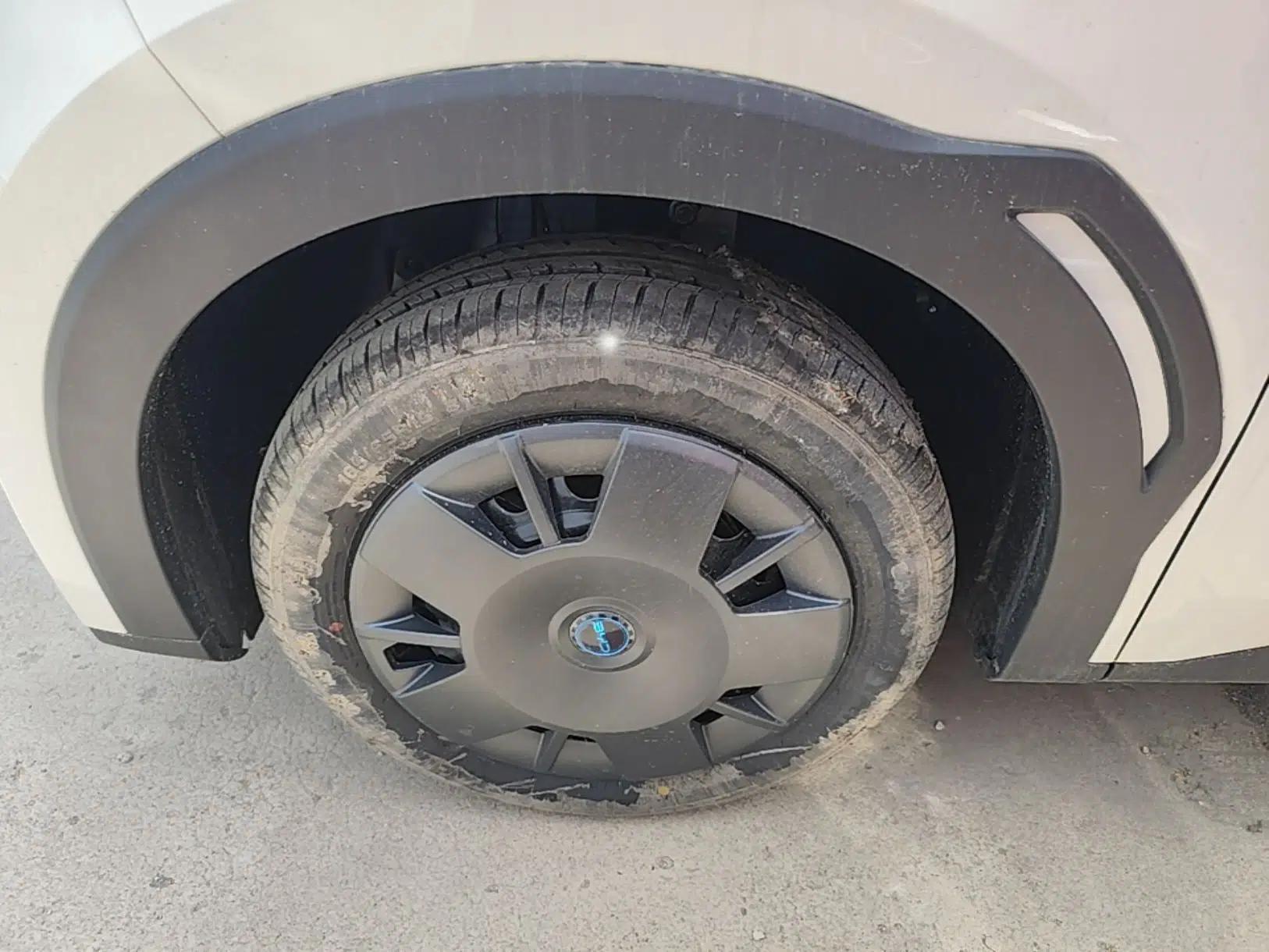 BYD Seagull 2025 Intelligent Driving Version 305 km Dynamic Edition — миниатюра 8