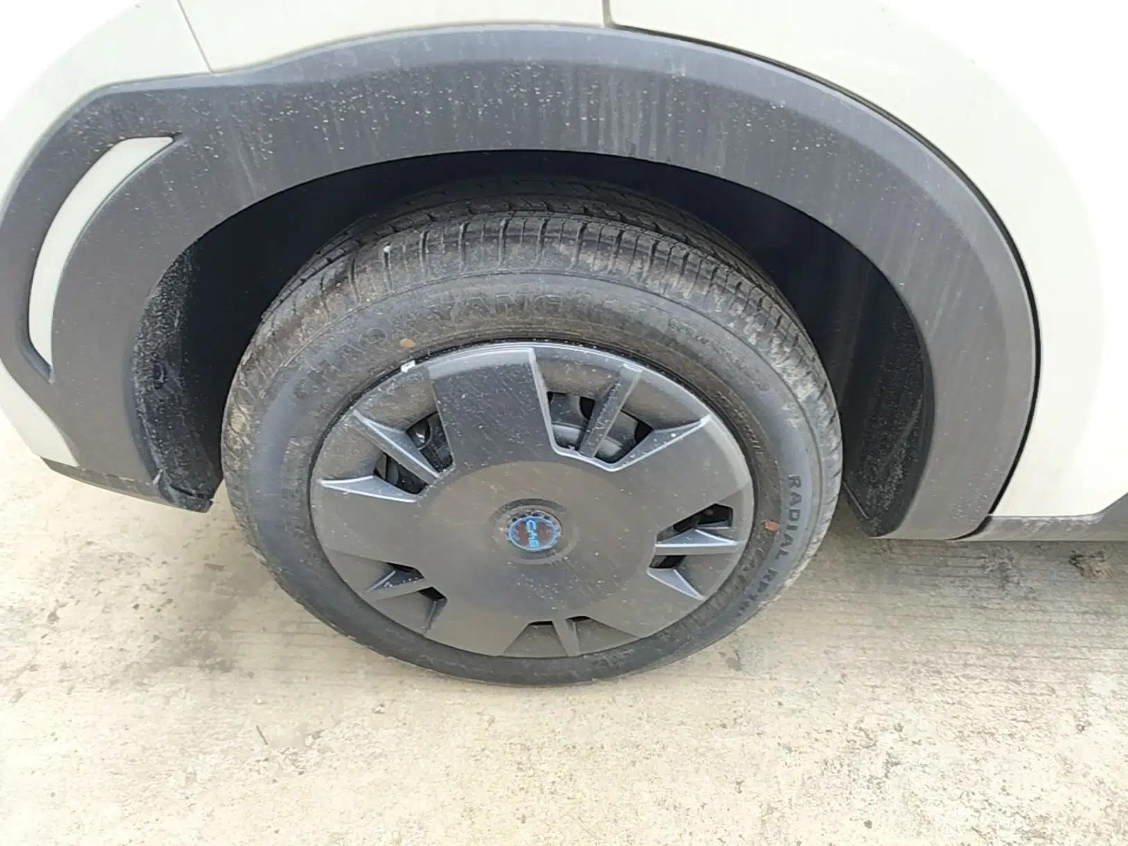 BYD Seagull 2025 Intelligent Driving Version 305 km Dynamic Edition — миниатюра 10