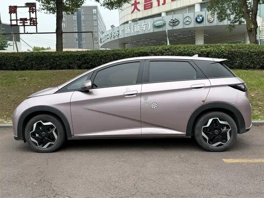 Dolphin 2021 405km Fashion Edition — миниатюра 3