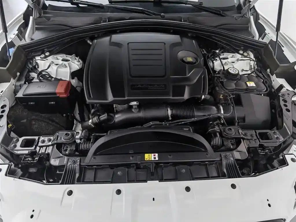 2024 Jaguar F-PACE P250 R-Dynamic SE — миниатюра 6