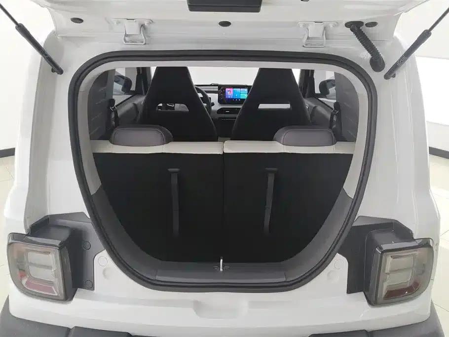 Panda 2024 Model 200km Panda Rider — миниатюра 4
