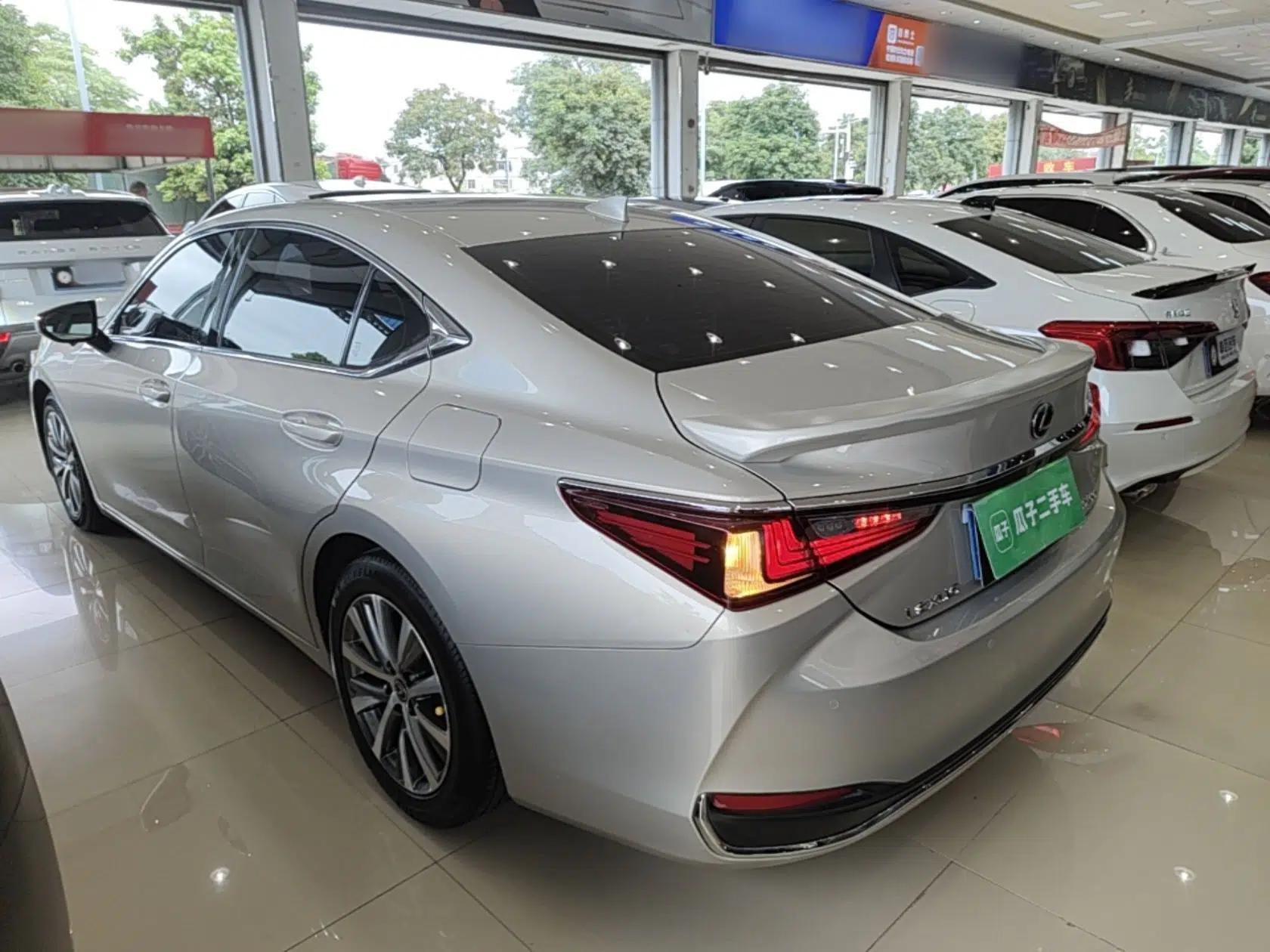 Lexus ES 2018 200 Excellence Edition China V Standard — миниатюра 4