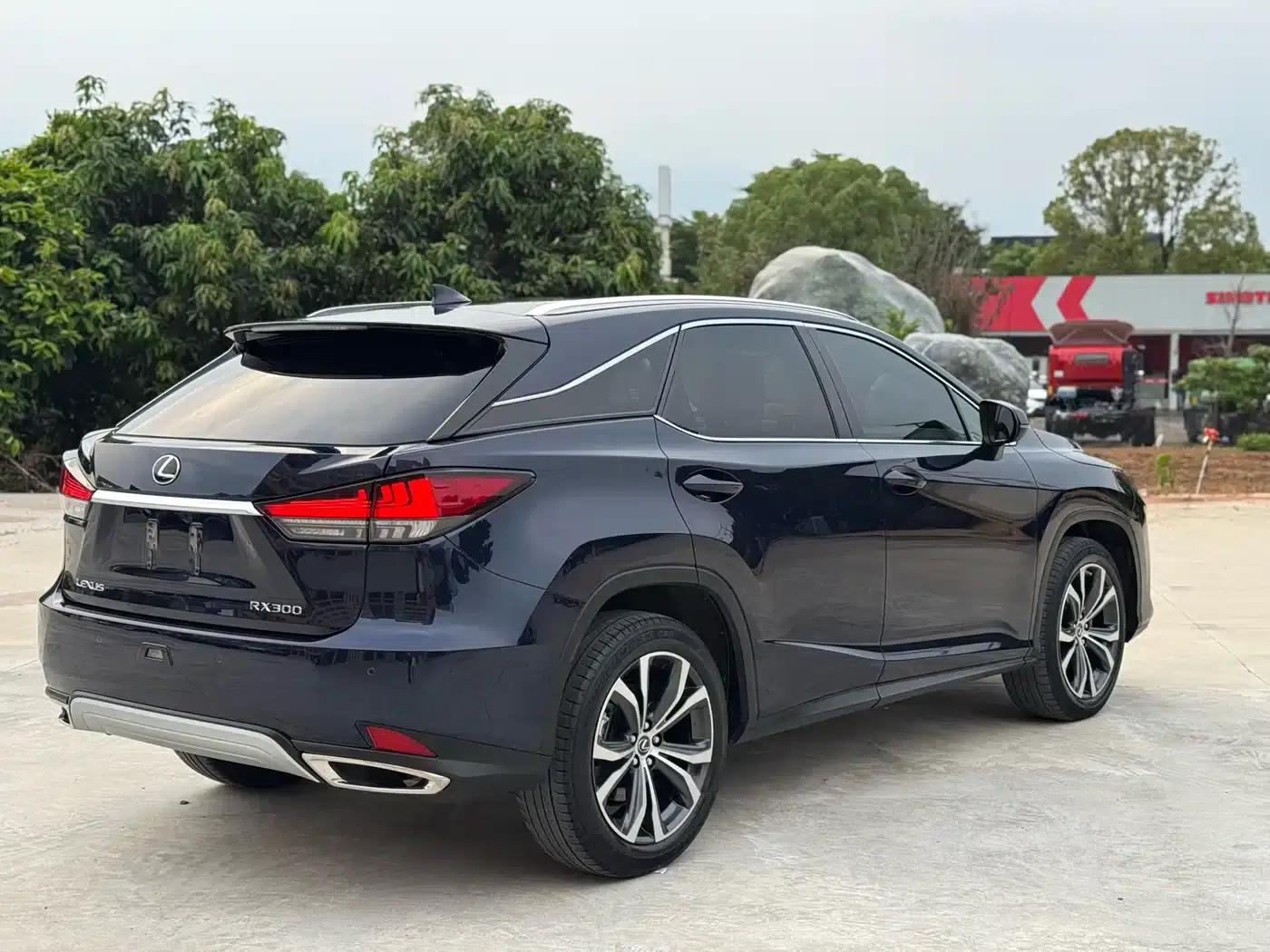 Lexus RX 2020 Facelift 300 AWD Elegant Edition — миниатюра 9
