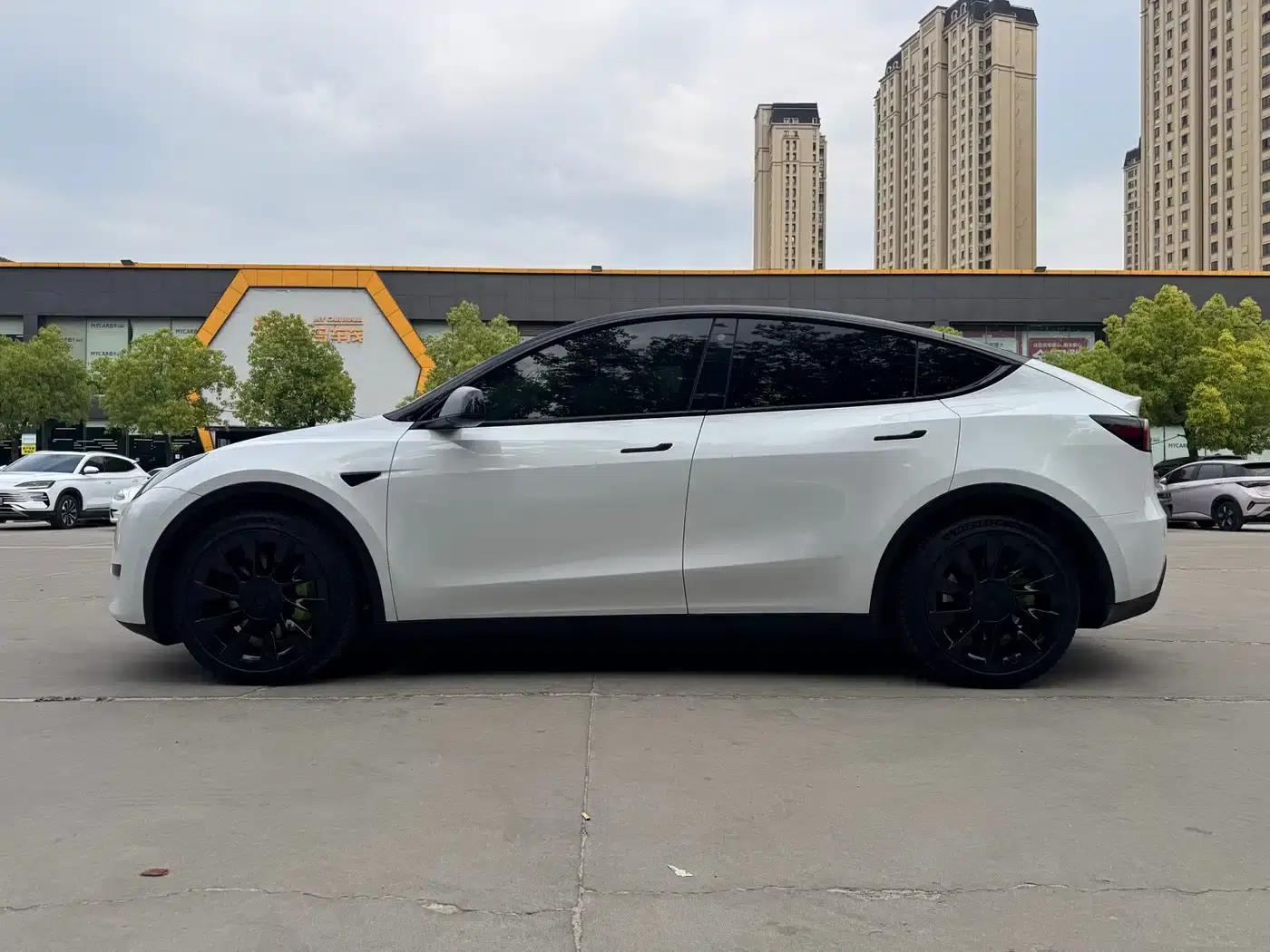 Model Y 2022 Rear-Wheel Drive — миниатюра 5