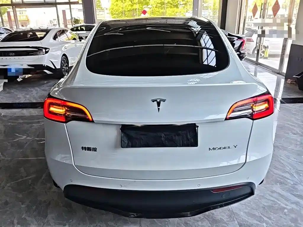 Model Y 2021 Long Range All-Wheel Drive 3D7 — миниатюра 6