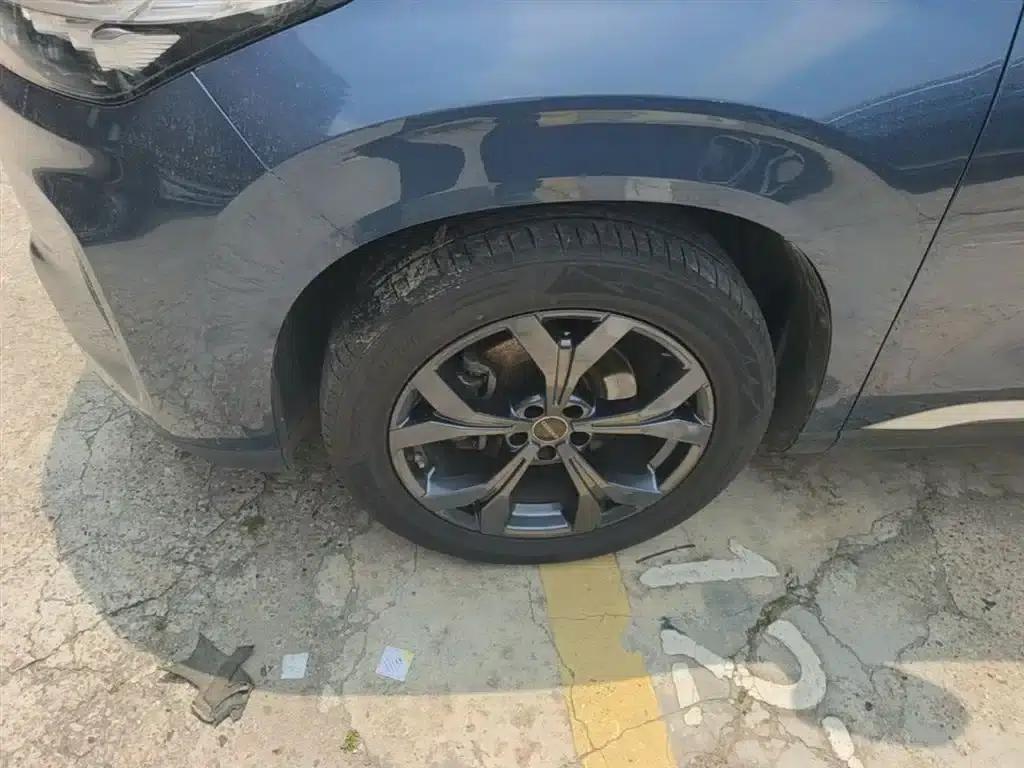 Starry Night 2021 390T AWD Starry Night Edition — миниатюра 23