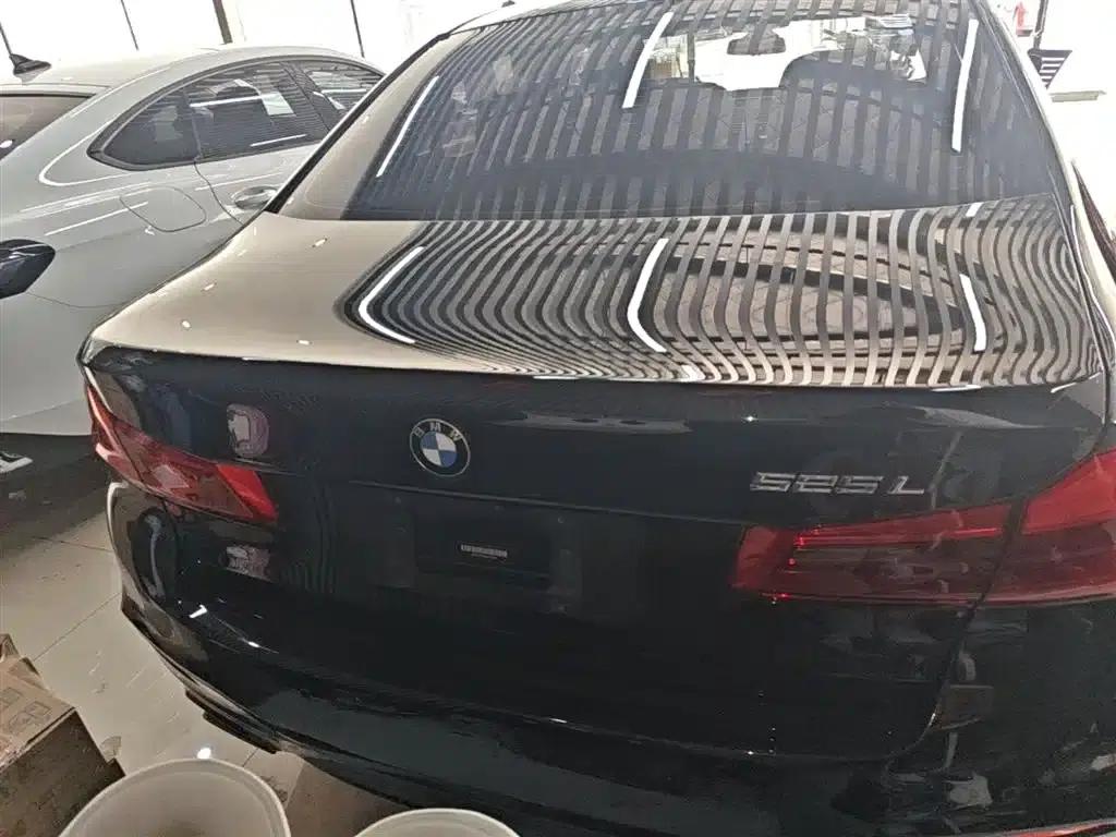 2019 BMW 5 Series 525Li M Sport Package — миниатюра 6