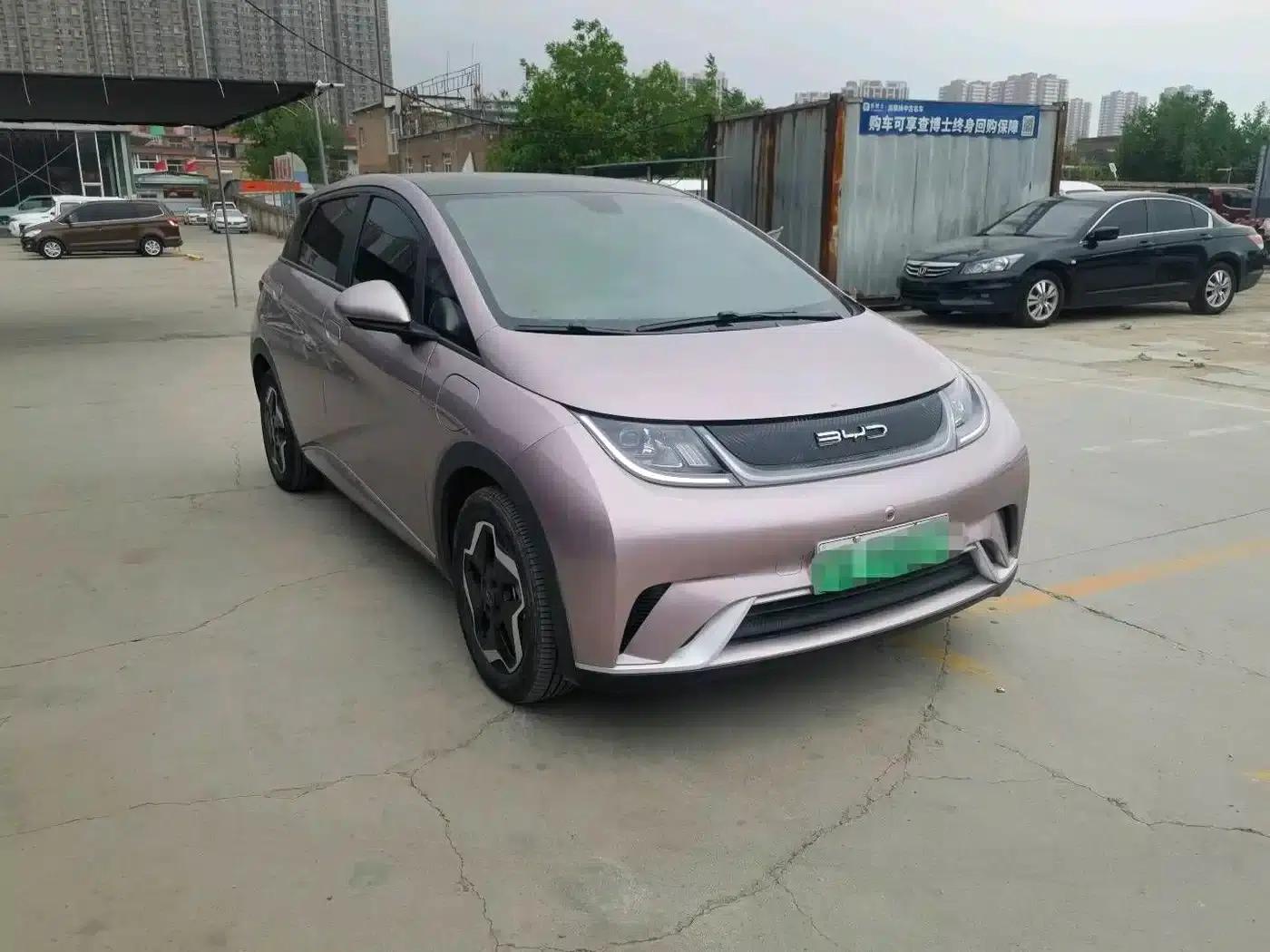 Dolphin 2021 405km Fashion Edition — миниатюра 3