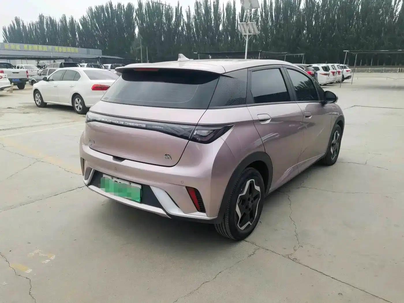 Dolphin 2021 405km Fashion Edition — миниатюра 8