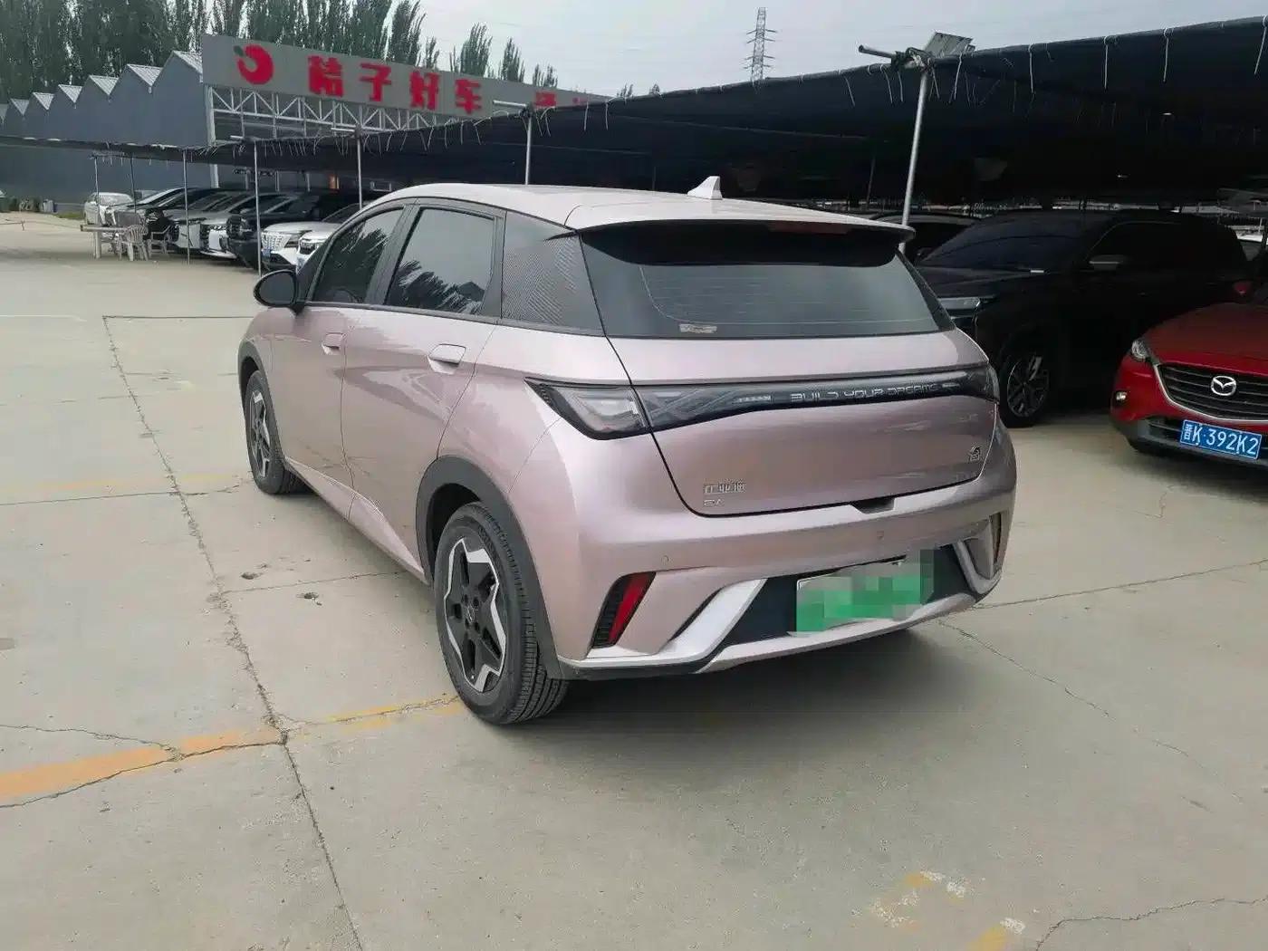 Dolphin 2021 405km Fashion Edition — миниатюра 10