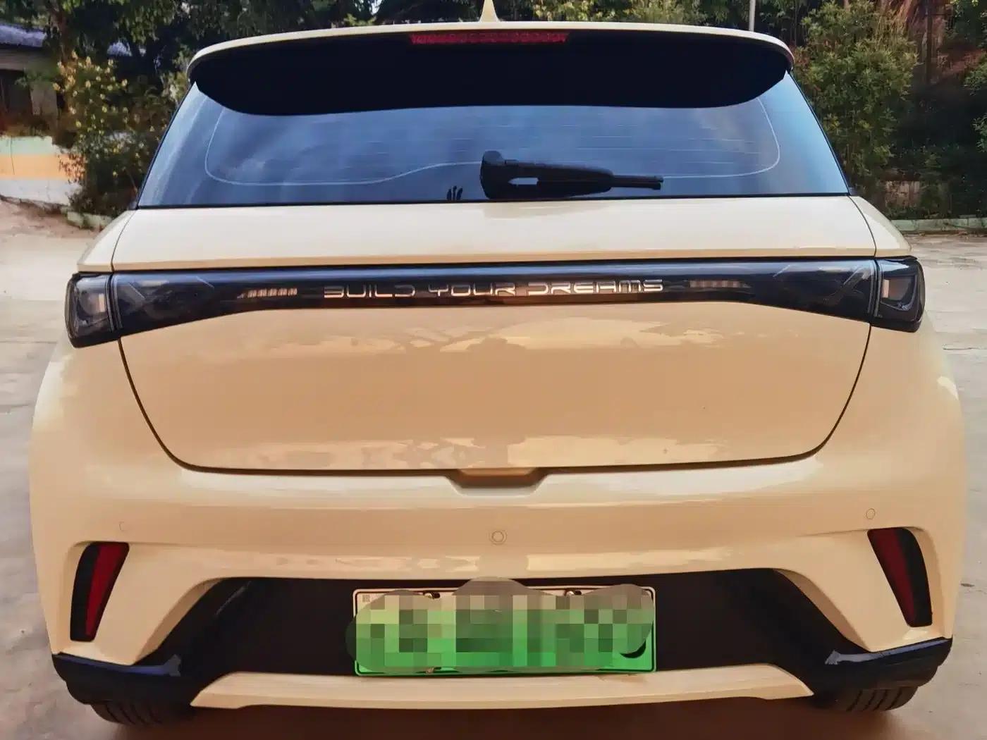 Dolphin 2024 Glory Edition 420km Fashion Edition — миниатюра 4