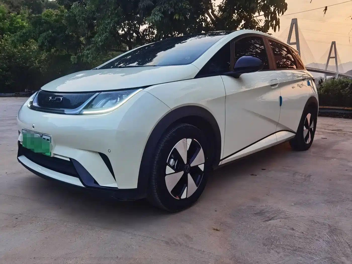 Dolphin 2024 Glory Edition 420km Fashion Edition — миниатюра 5