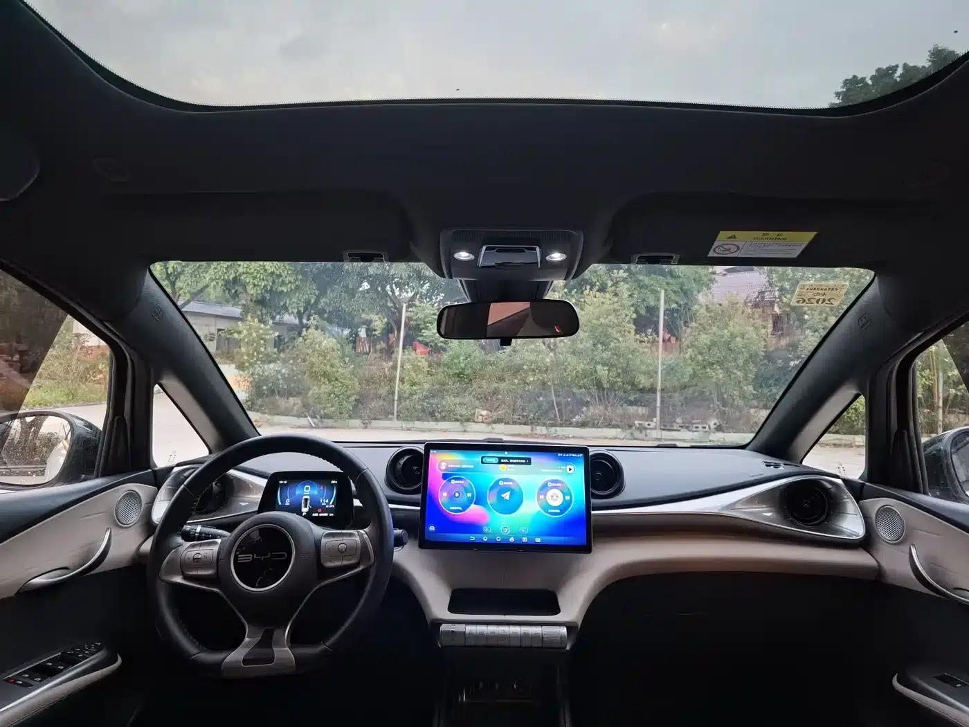 Dolphin 2024 Glory Edition 420km Fashion Edition — миниатюра 8