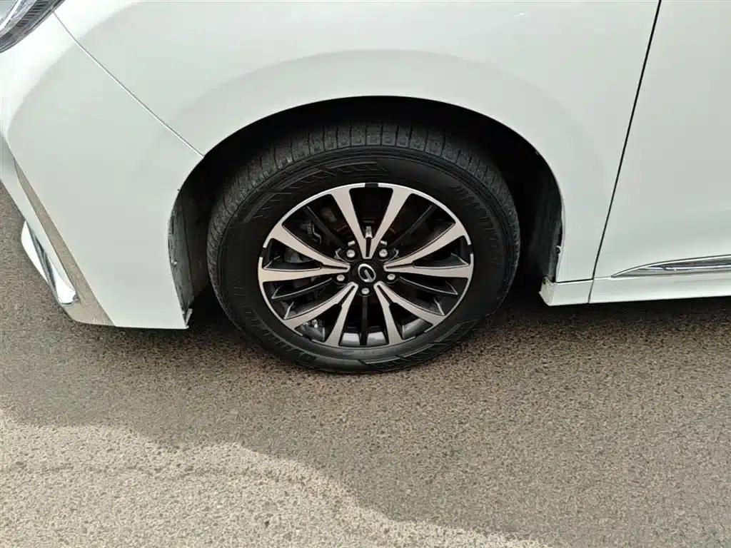 Trumpchi M8 2021 Facelift, Elite Series 390T Luxury Edition — миниатюра 23