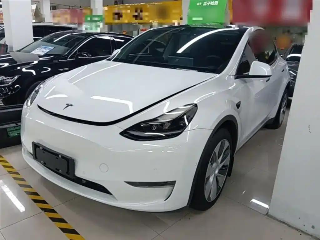 Model Y 2021 Standard Range Rear-Wheel Drive — миниатюра 2
