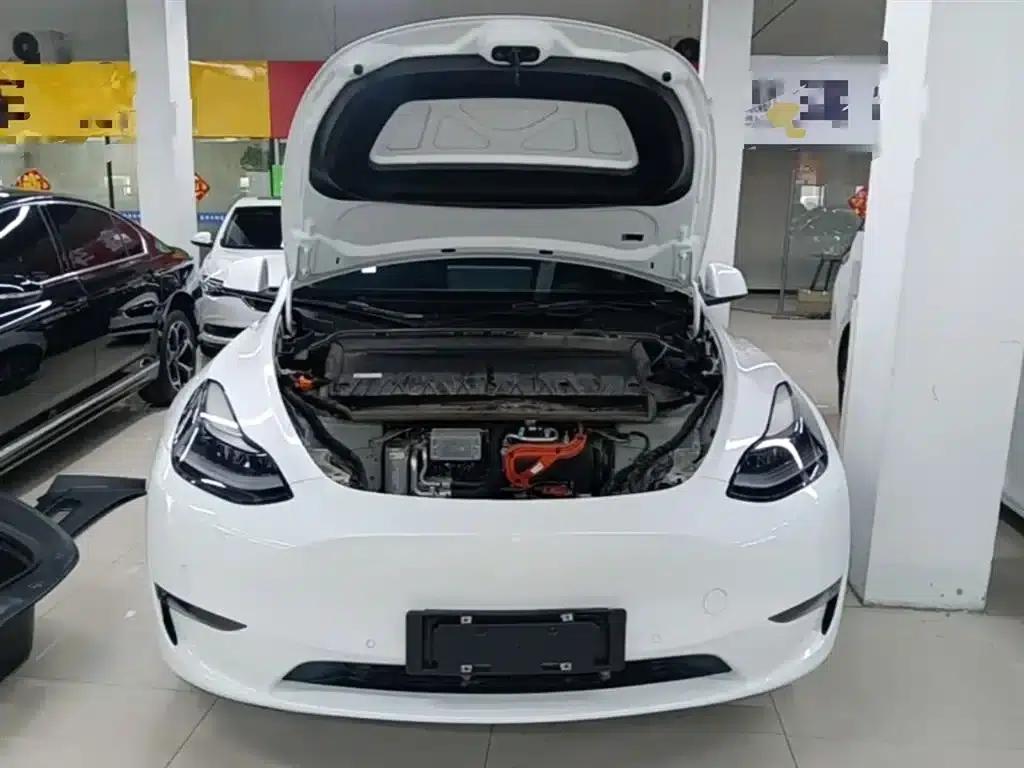 Model Y 2021 Standard Range Rear-Wheel Drive — миниатюра 20
