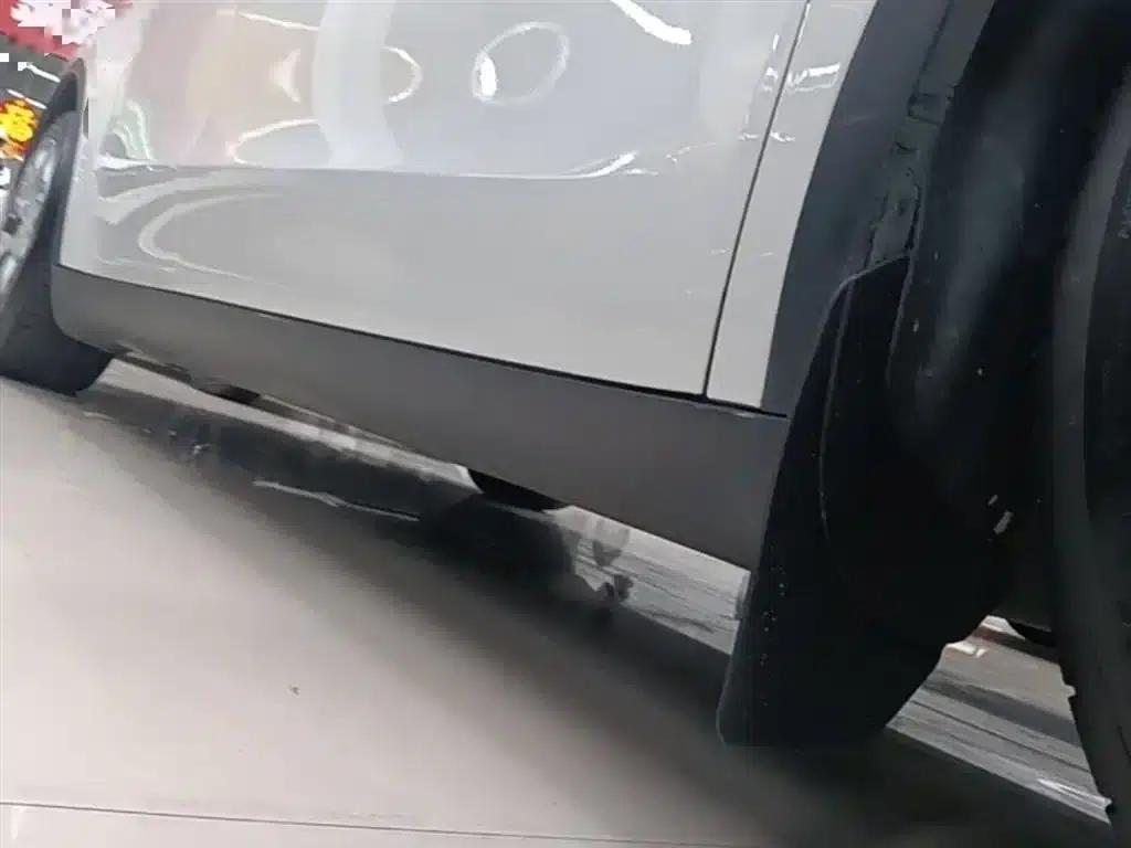 Model Y 2021 Standard Range Rear-Wheel Drive — миниатюра 21