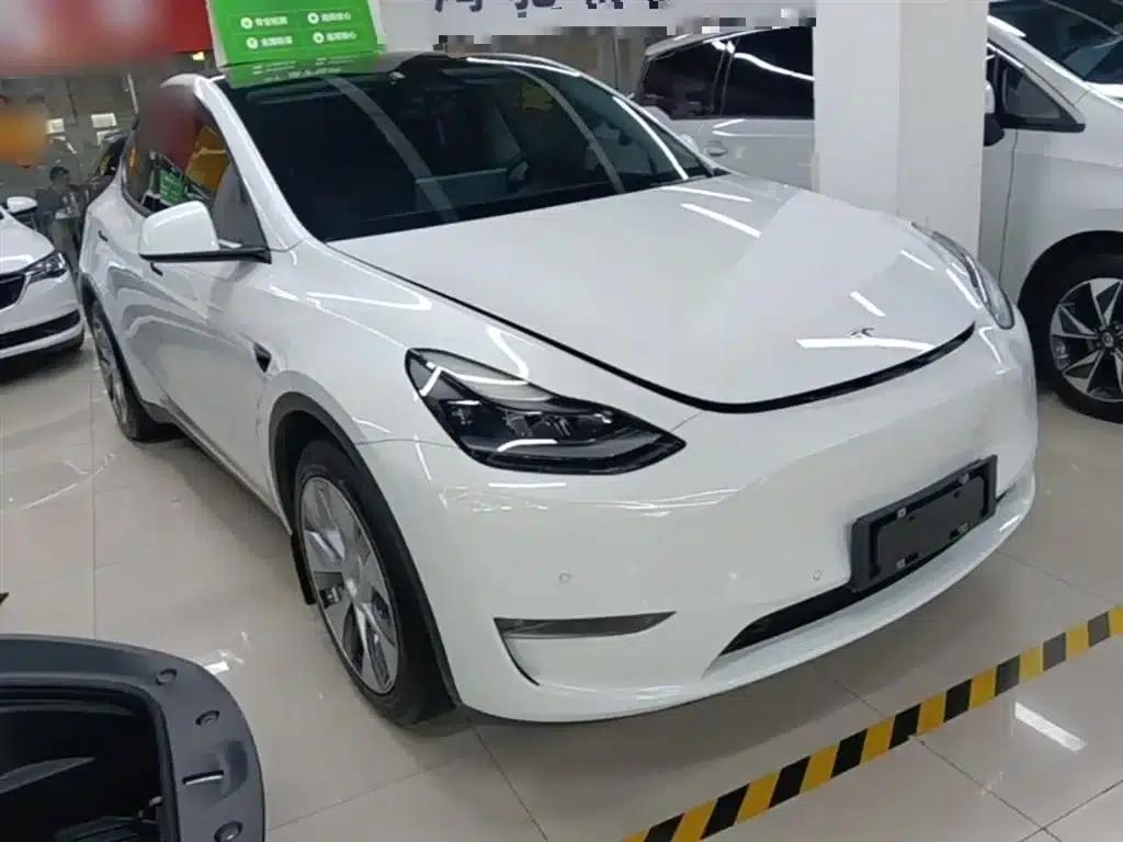 Model Y 2021 Standard Range Rear-Wheel Drive — миниатюра 4