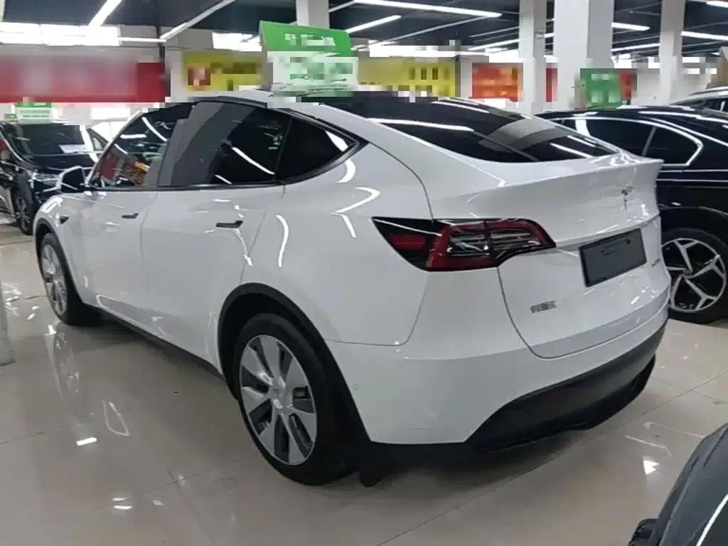 Model Y 2021 Standard Range Rear-Wheel Drive — миниатюра 5