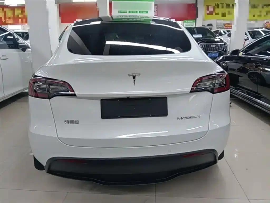 Model Y 2021 Standard Range Rear-Wheel Drive — миниатюра 6