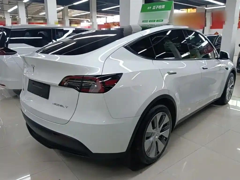 Model Y 2021 Standard Range Rear-Wheel Drive — миниатюра 7