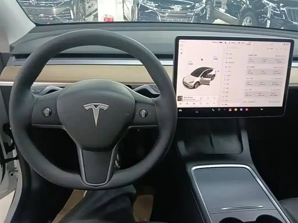 Model Y 2021 Standard Range Rear-Wheel Drive — миниатюра 10