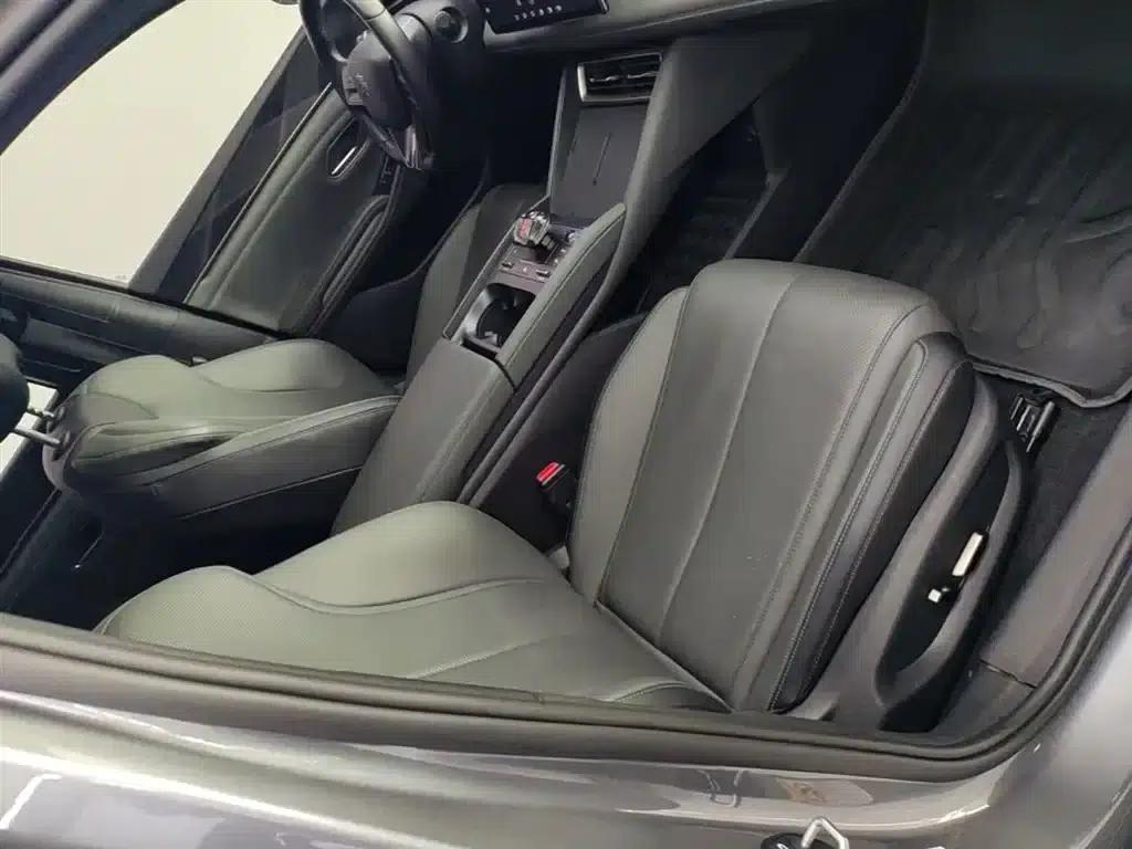 Qin L 2024 DM-i 120KM Super Edition — миниатюра 25
