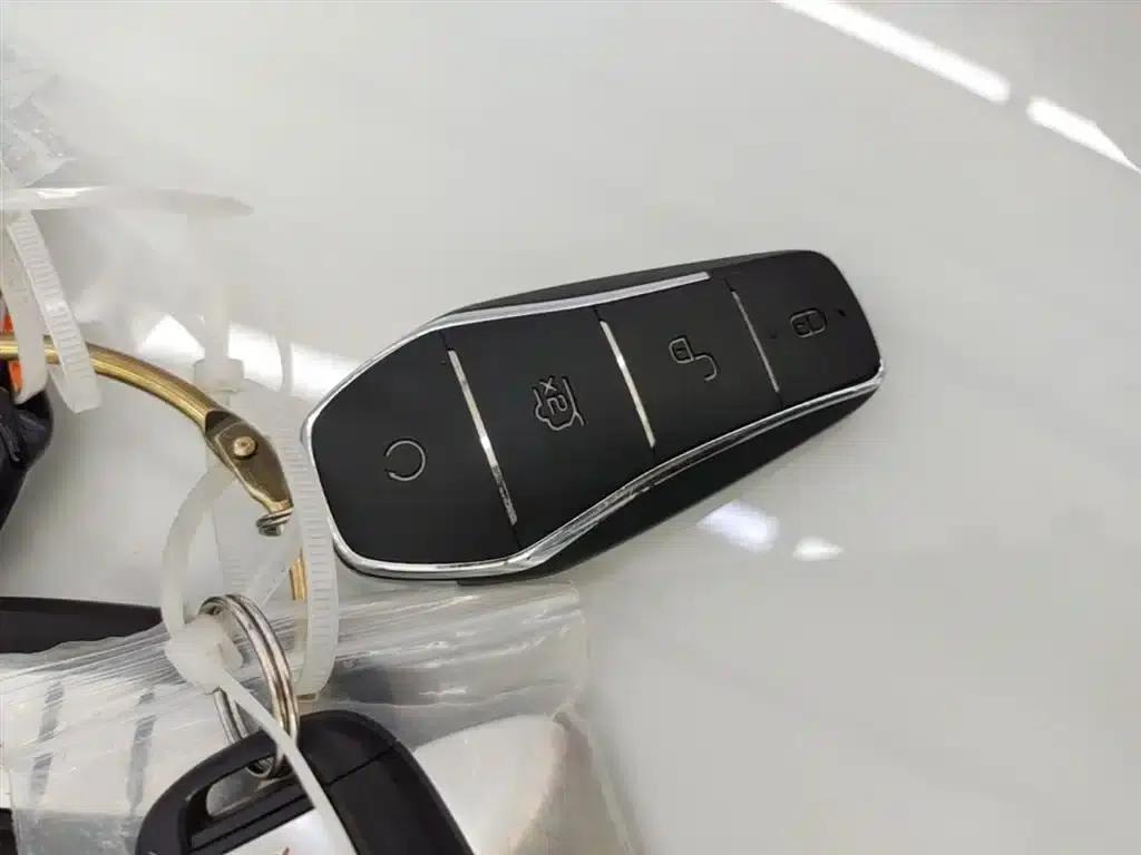 Qin L 2024 DM-i 120KM Super Edition — миниатюра 9