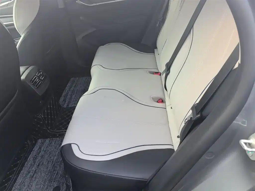 Destroyer 05 2023 Champion Edition DM-i 55KM Luxury — миниатюра 17